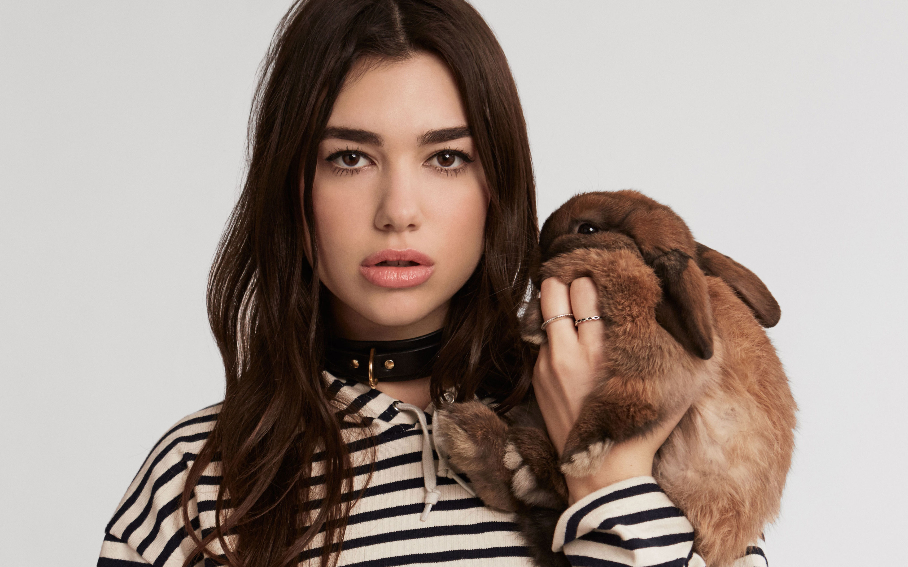 Dua Lipa Photoshoot 2019 Wallpapers