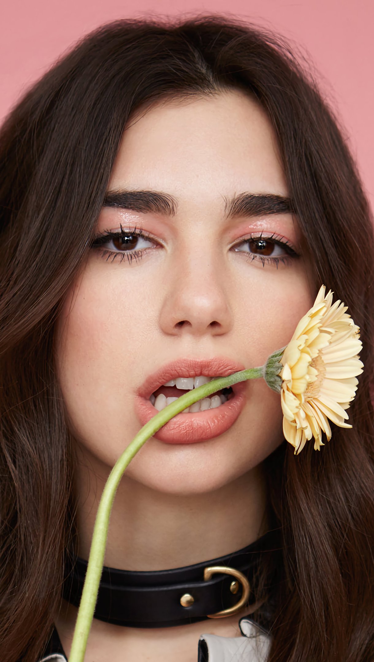 Dua Lipa Portrait Wallpapers