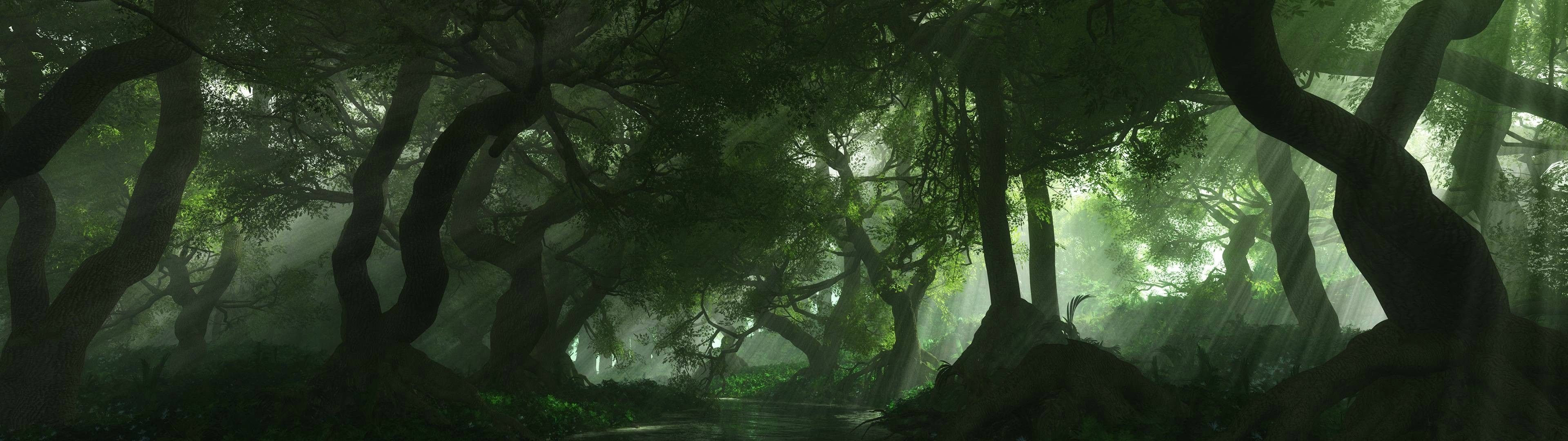 Dual Monitor Forest Wallpapers