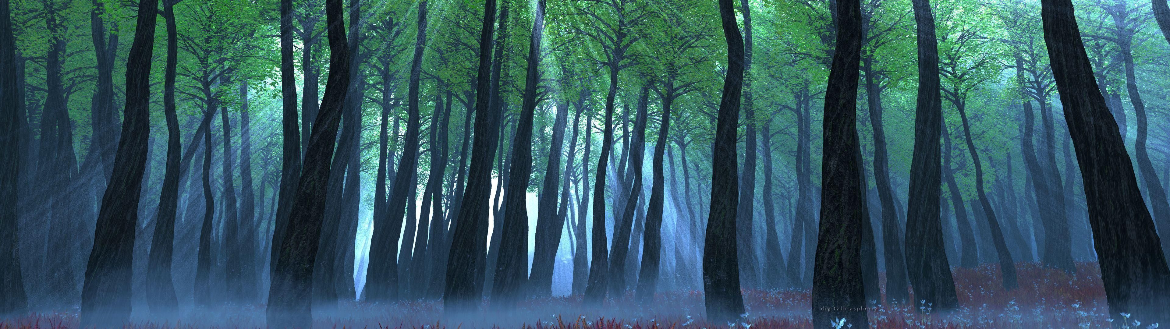 Dual Monitor Forest Wallpapers