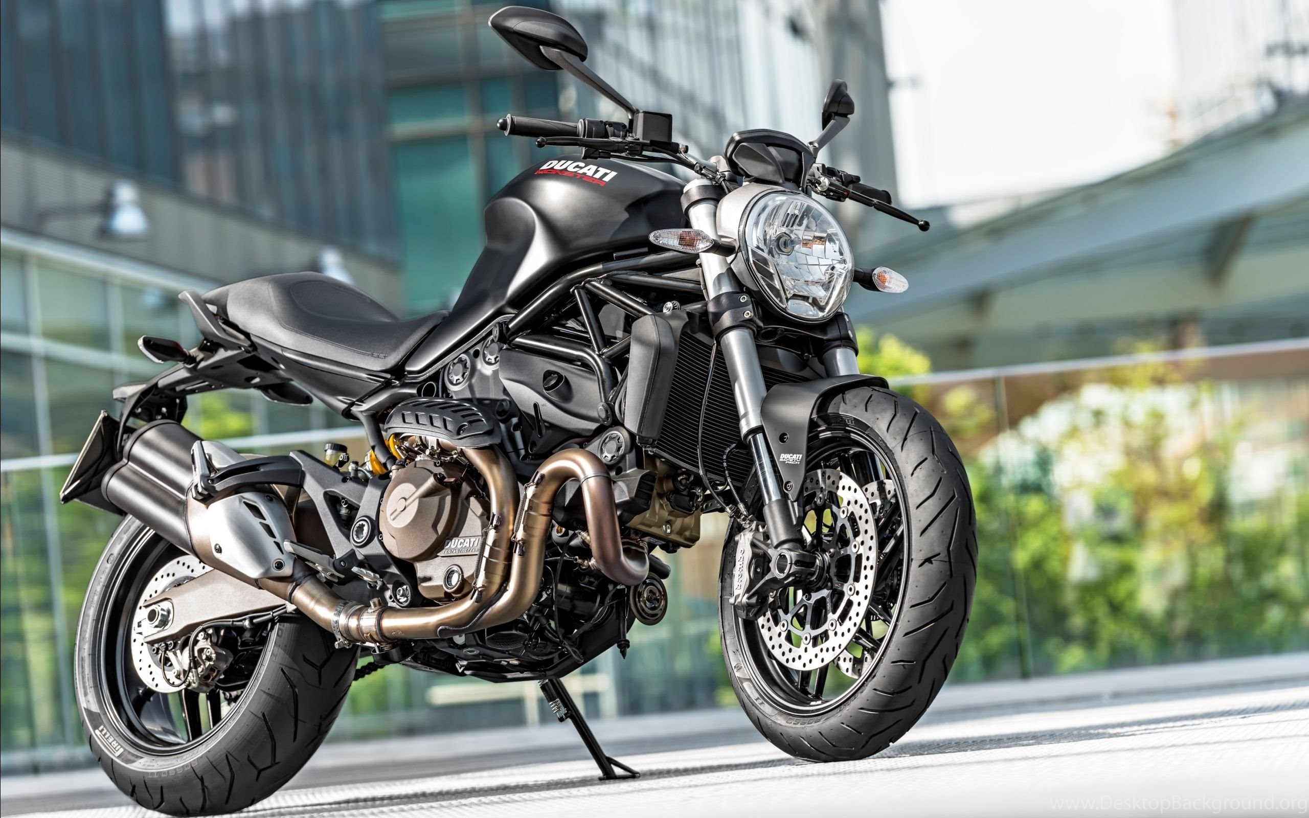 Ducati Monster Diesel Wallpapers