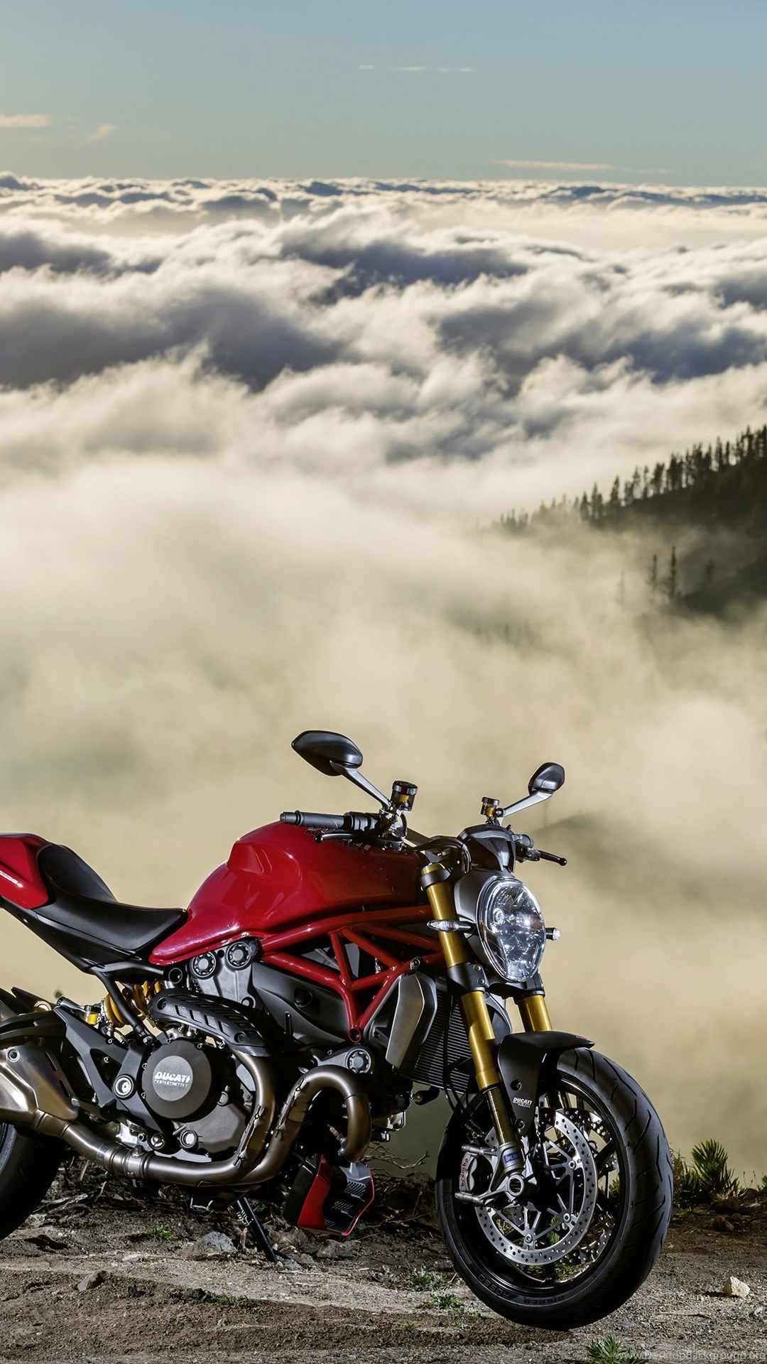 Ducati Monster Wallpapers