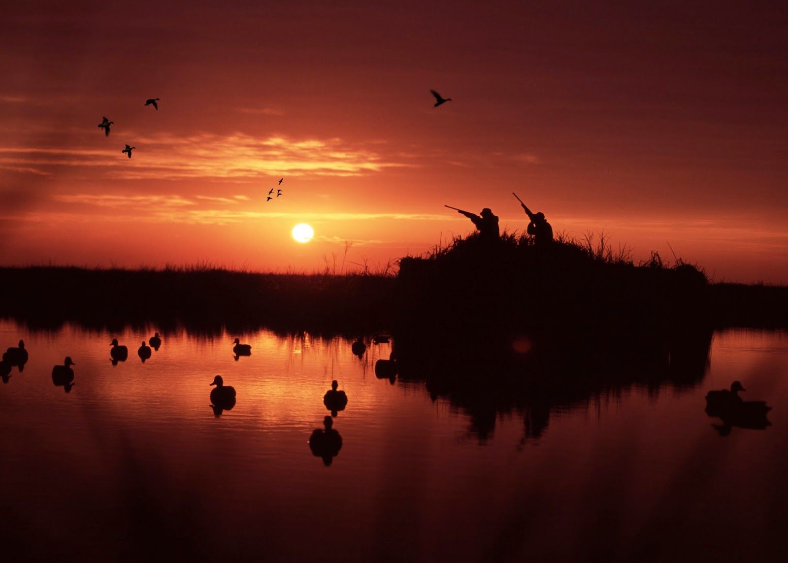 Duck Hunting Wallpapers