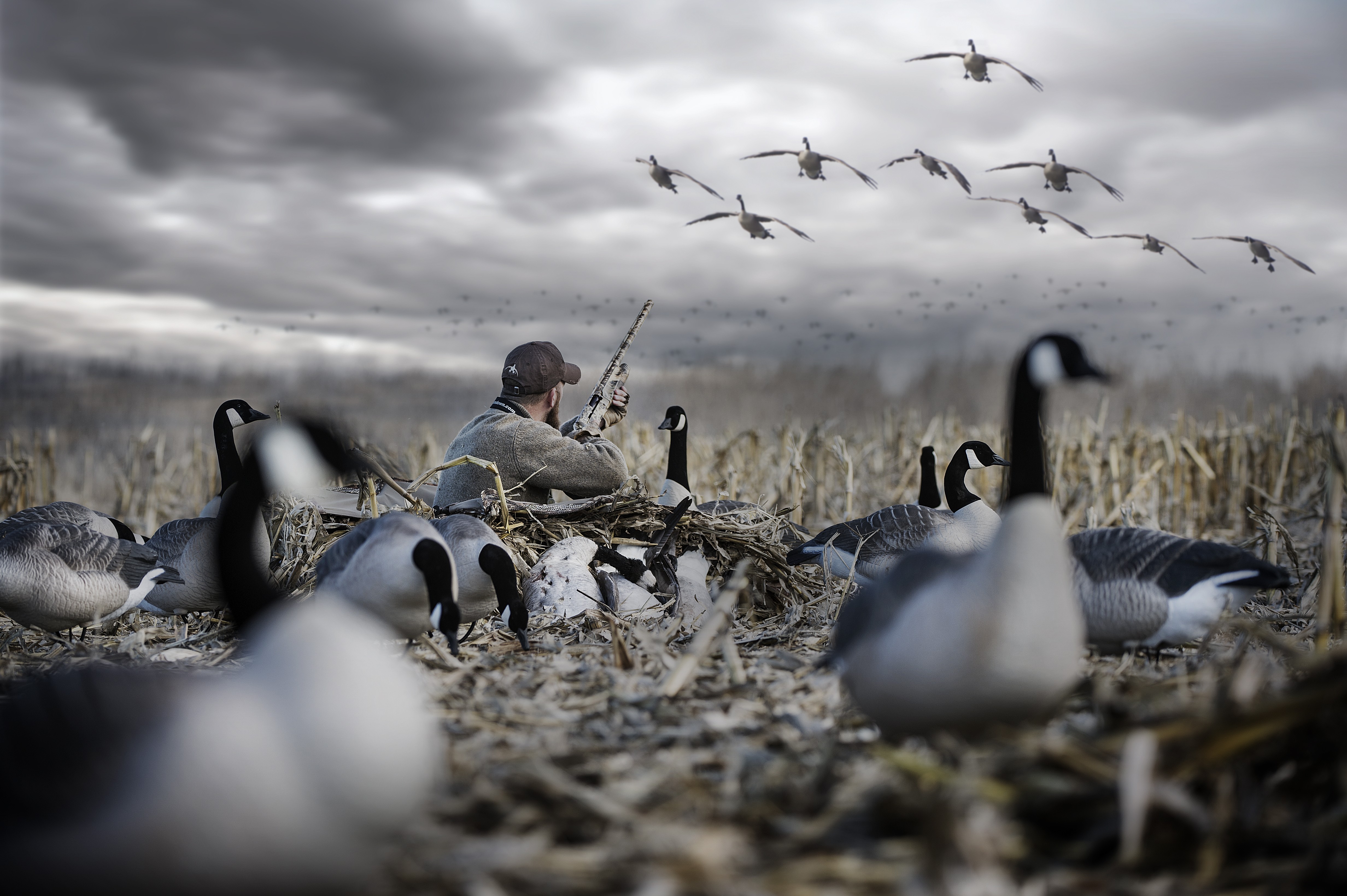 Duck Hunting Wallpapers