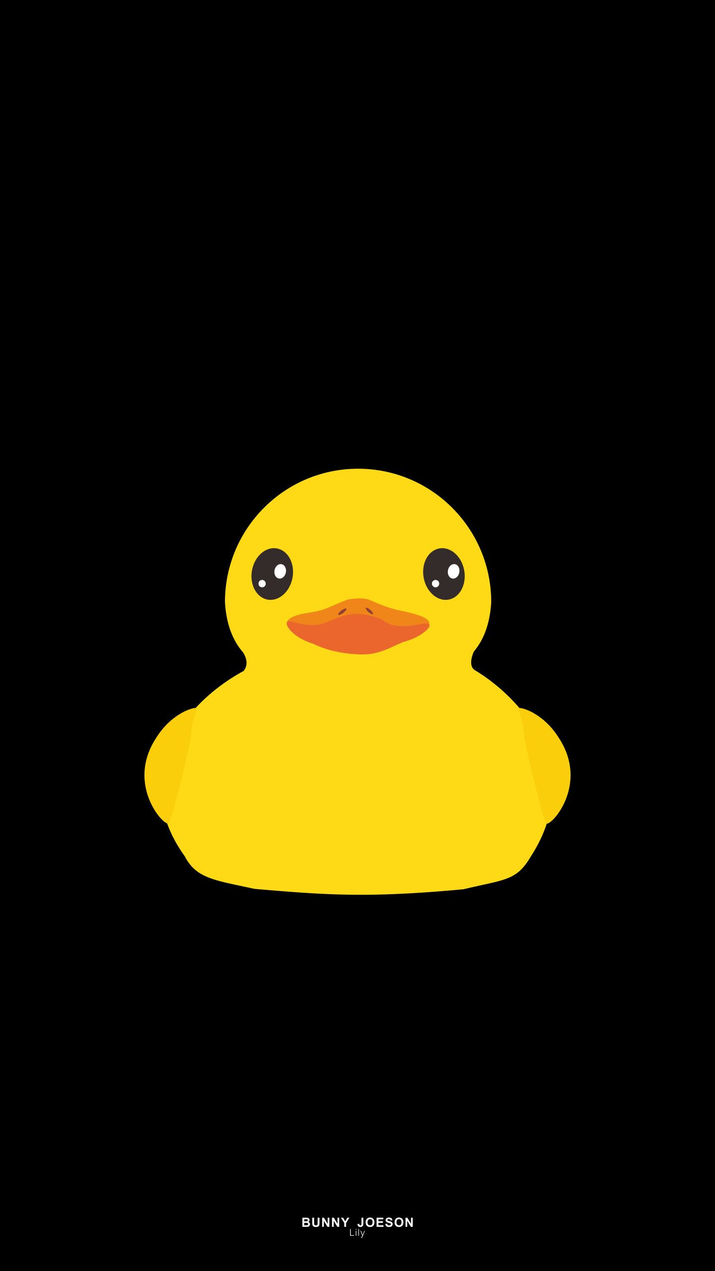 Duck Wallpapers