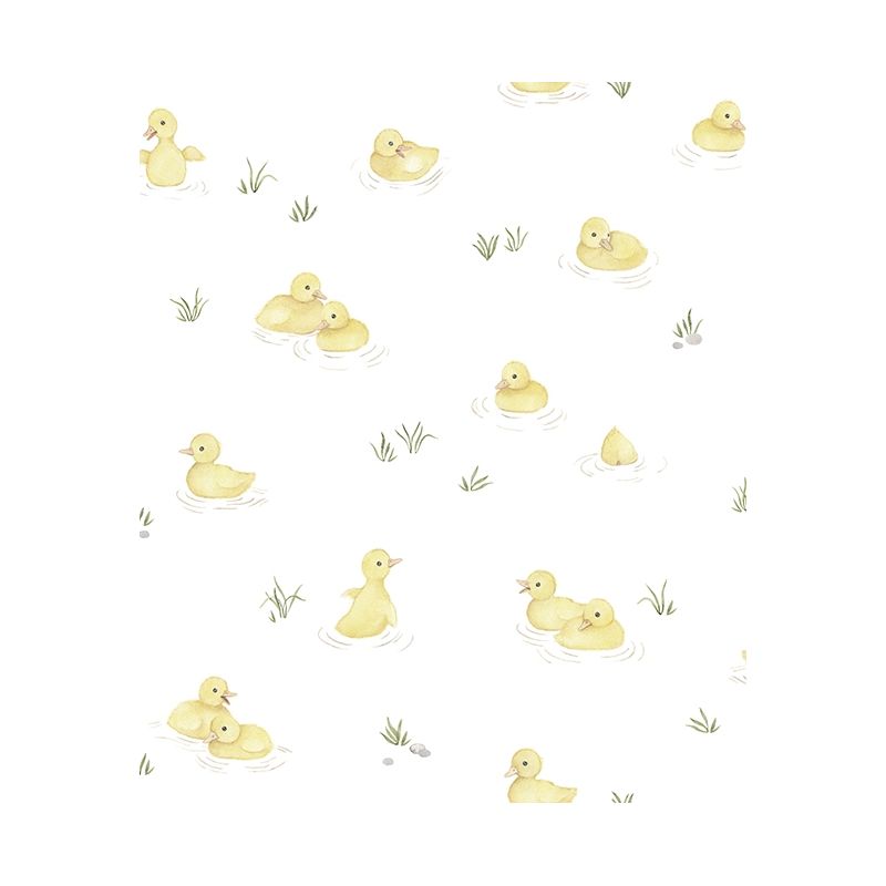 Ducks Wallpapers