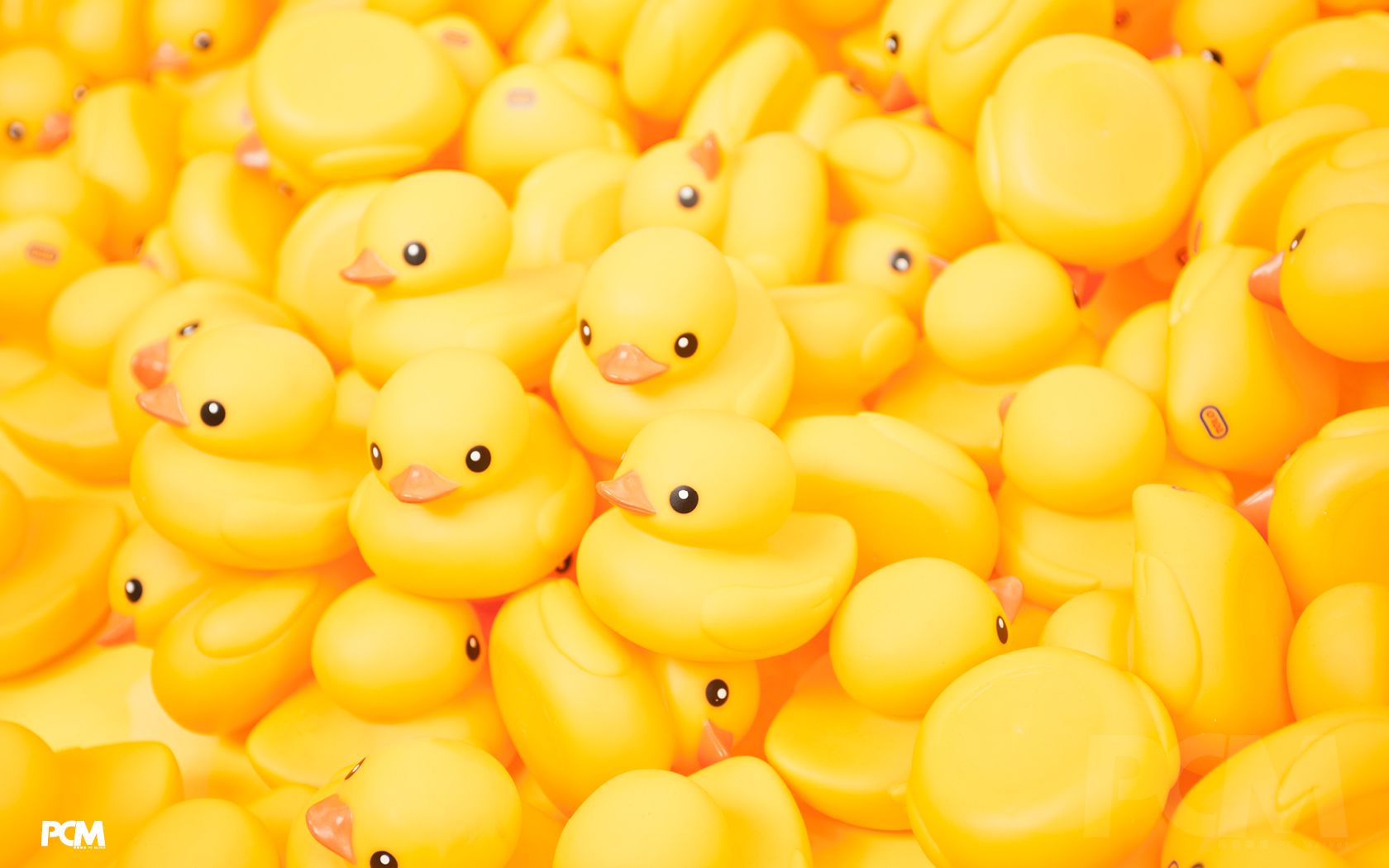 Ducky Wallpapers