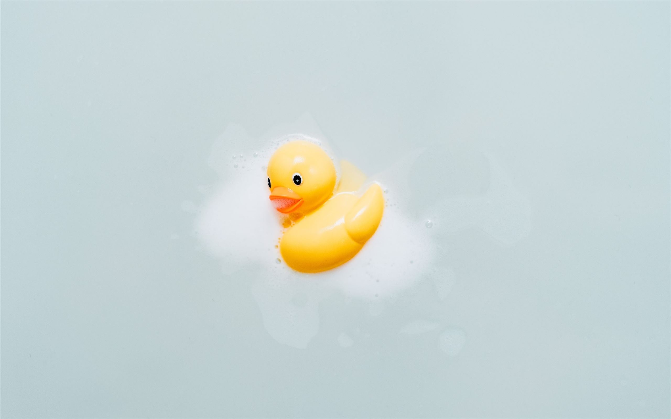 Ducky Wallpapers