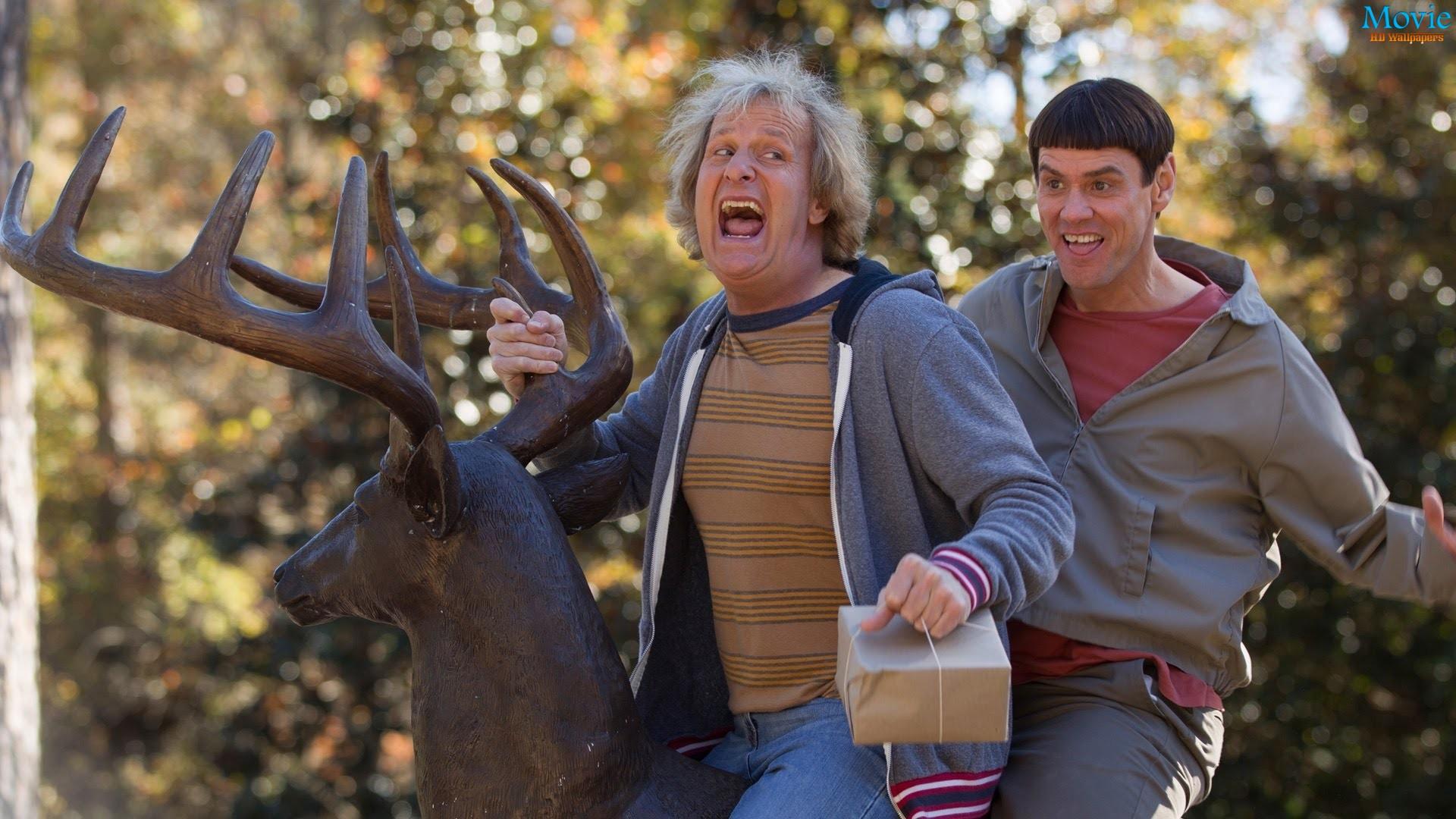 Dumb And Dumber To Wallpapers