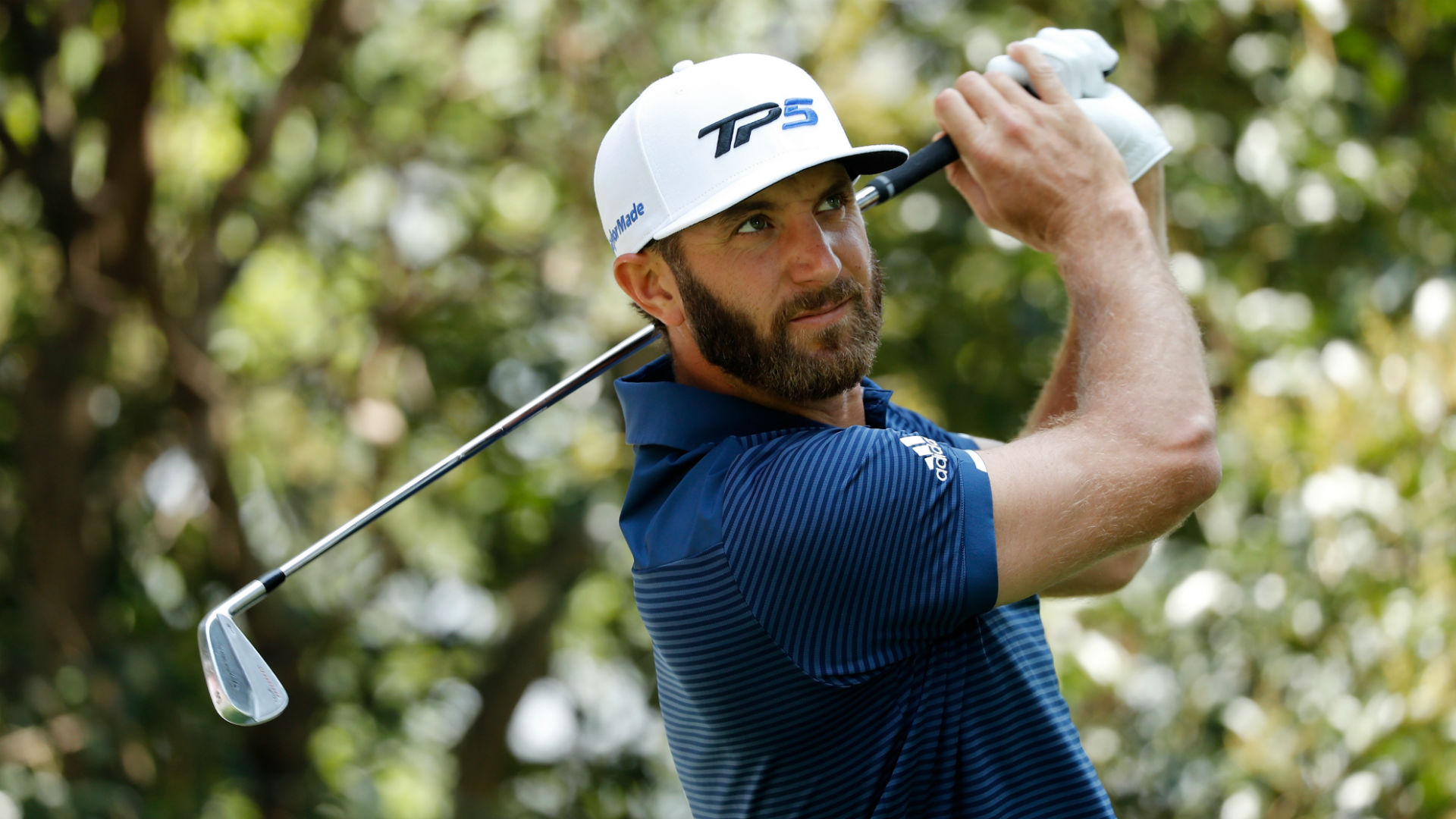 Dustin Johnson Wallpapers