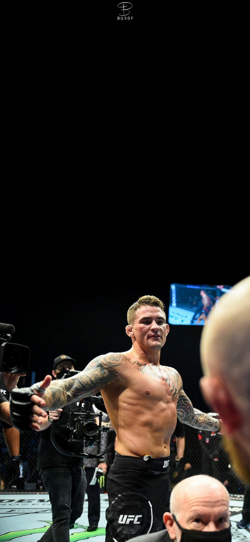 Dustin Poirier Wallpapers