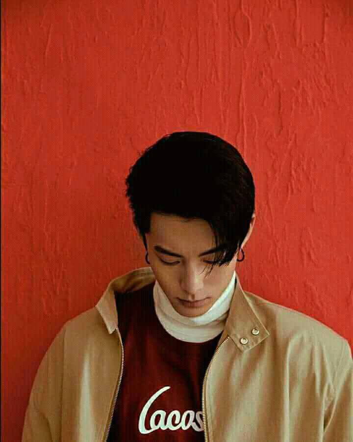 Dylan Wang Wallpapers