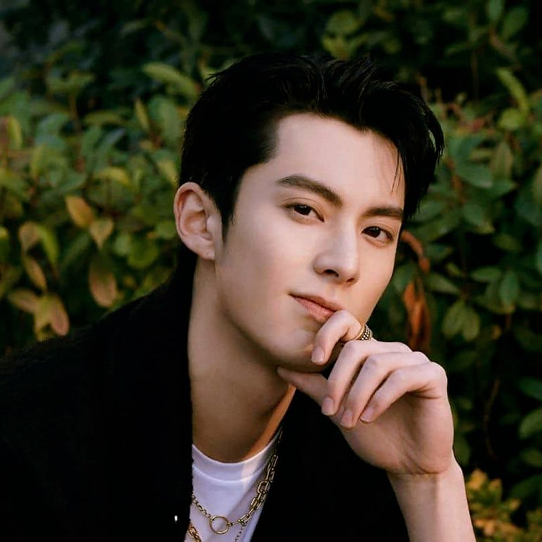 Dylan Wang Wallpapers