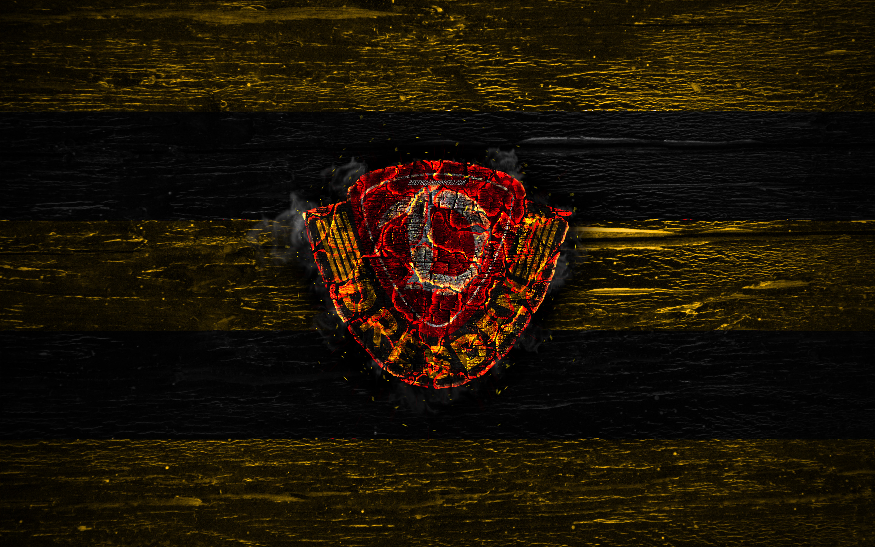 Dynamo Dresden Wallpapers