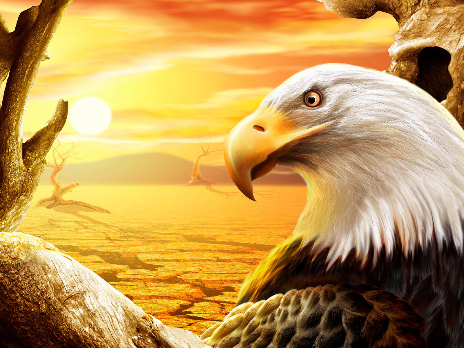 Eagle Desktop Wallpapers
