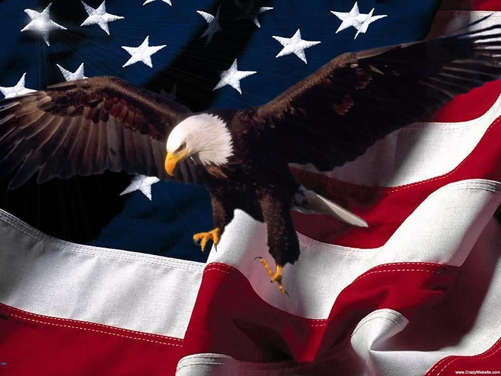 Eagle Usa Wallpapers