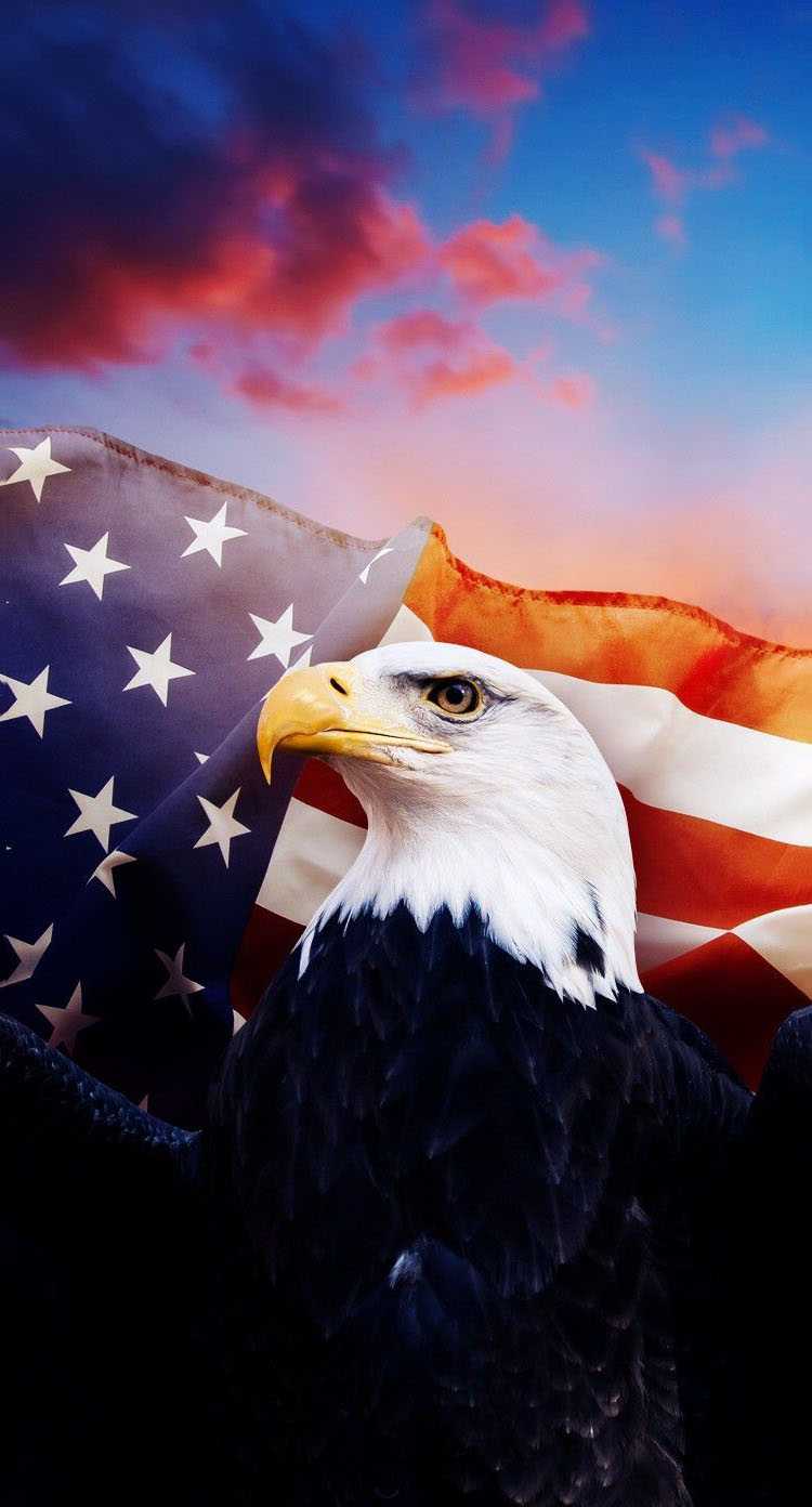 Eagle Usa Wallpapers