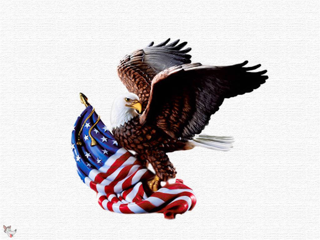 Eagle Usa Wallpapers