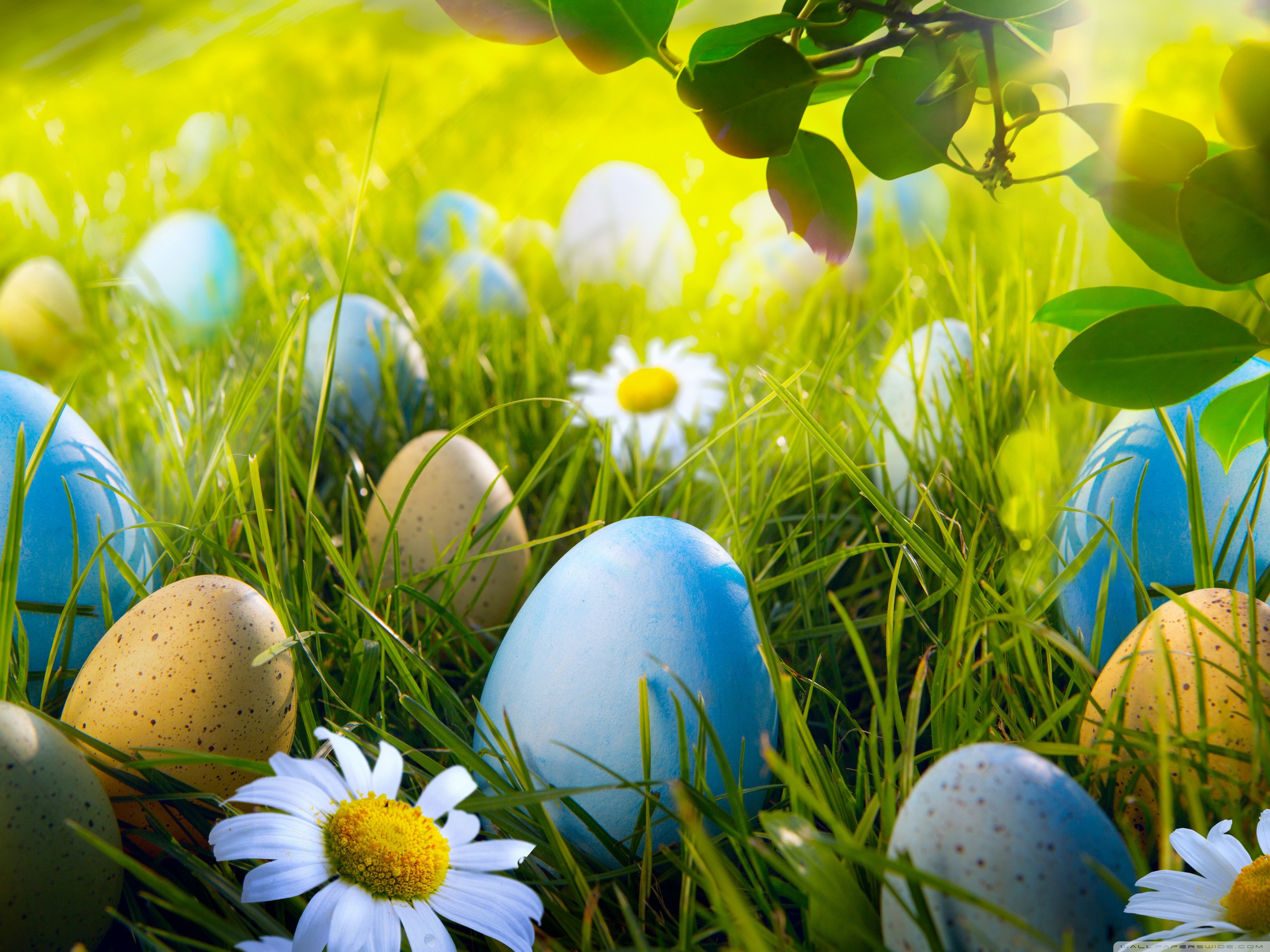 Easter 2019 Wallpapers