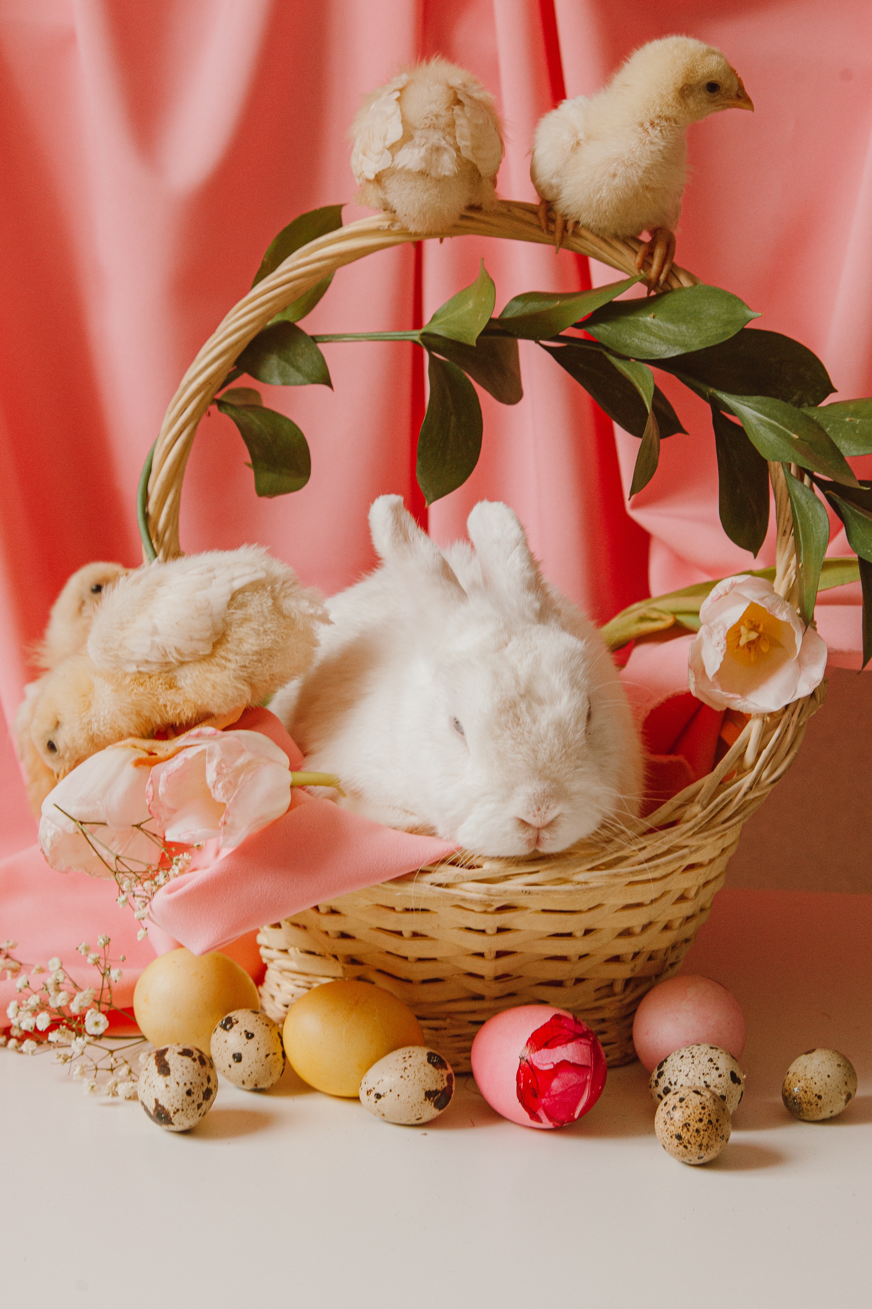 Easter Basket Wallpapers