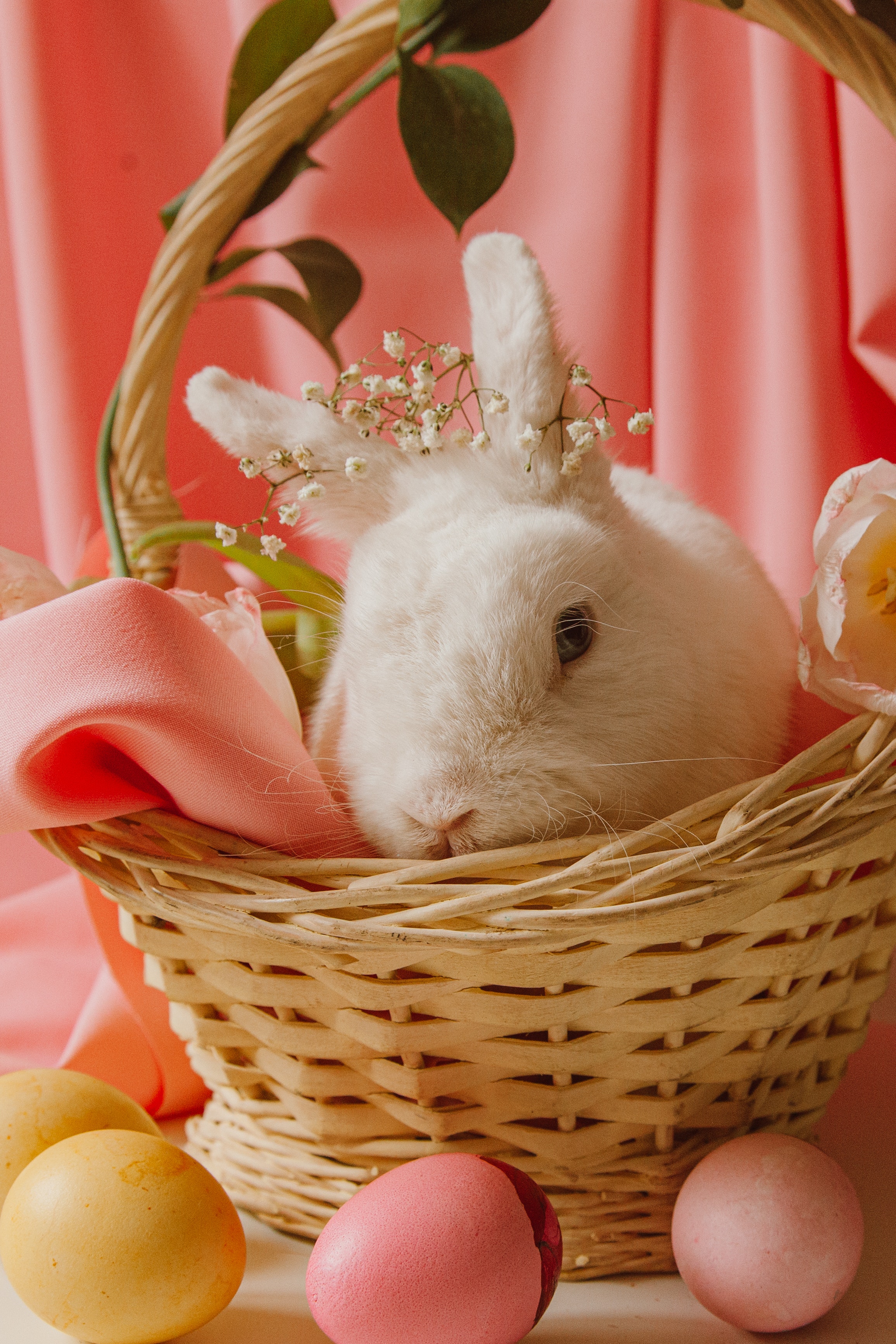 Easter Basket Wallpapers