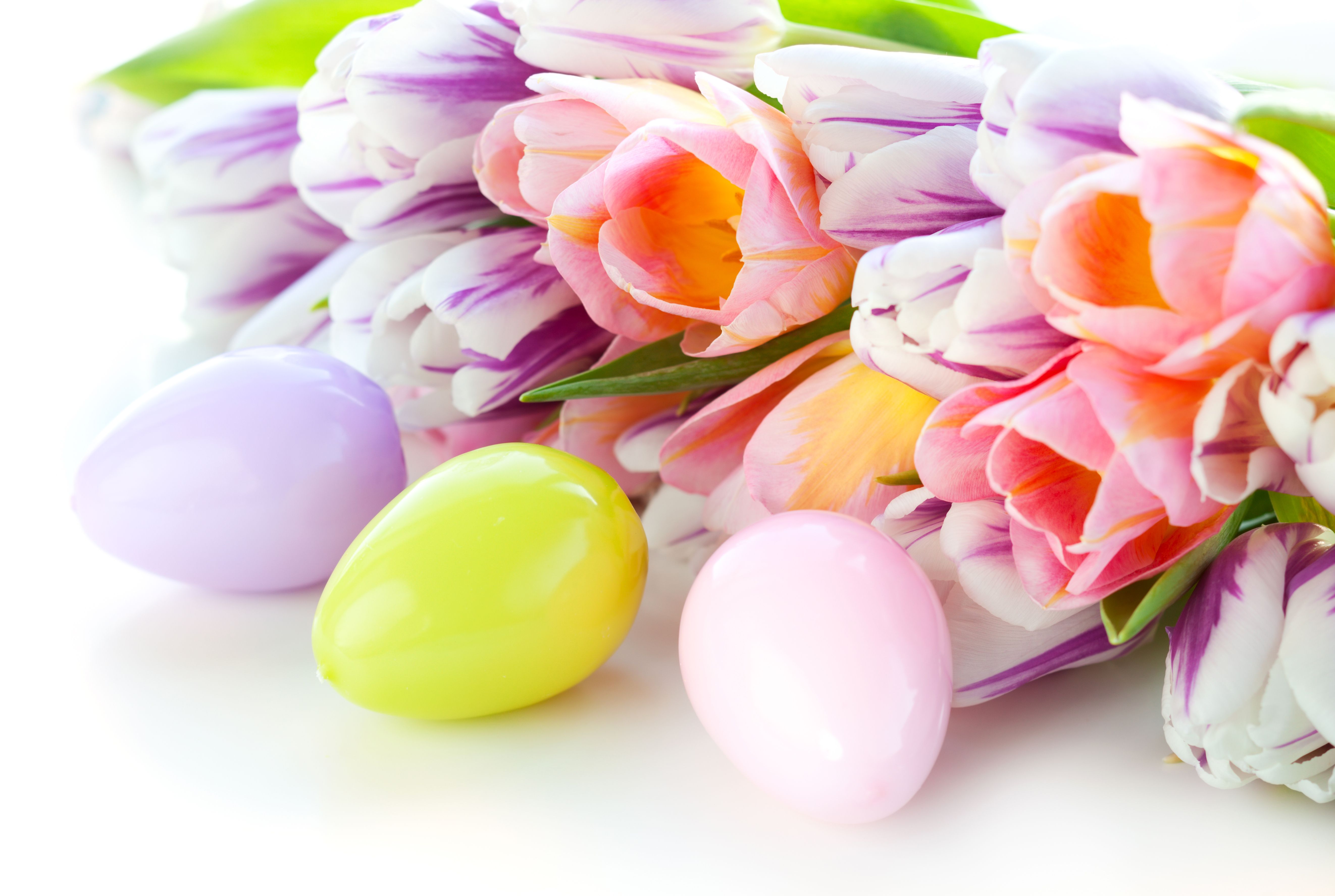 Easter Flowers Wallpapers