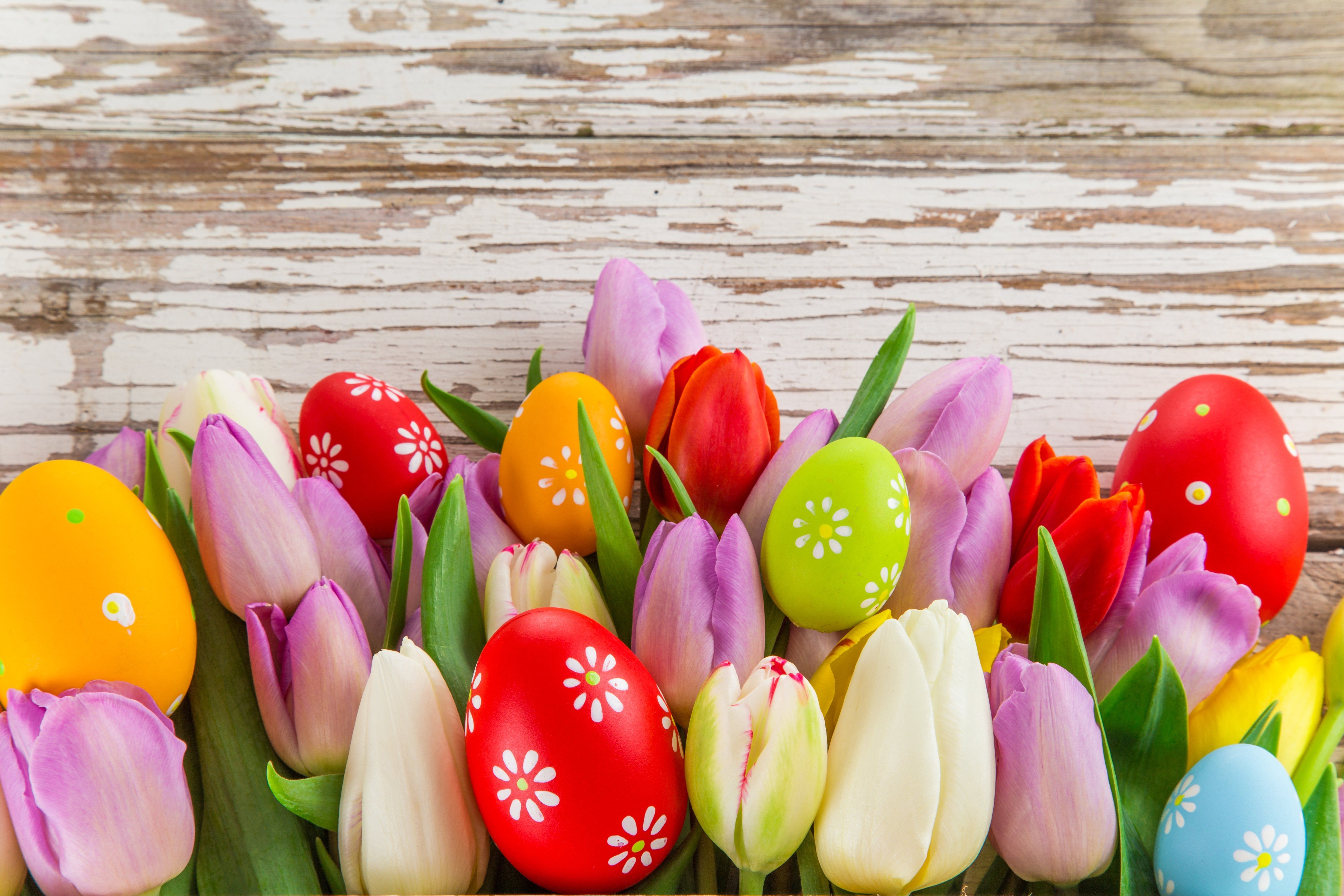 Easter Flowers Wallpapers