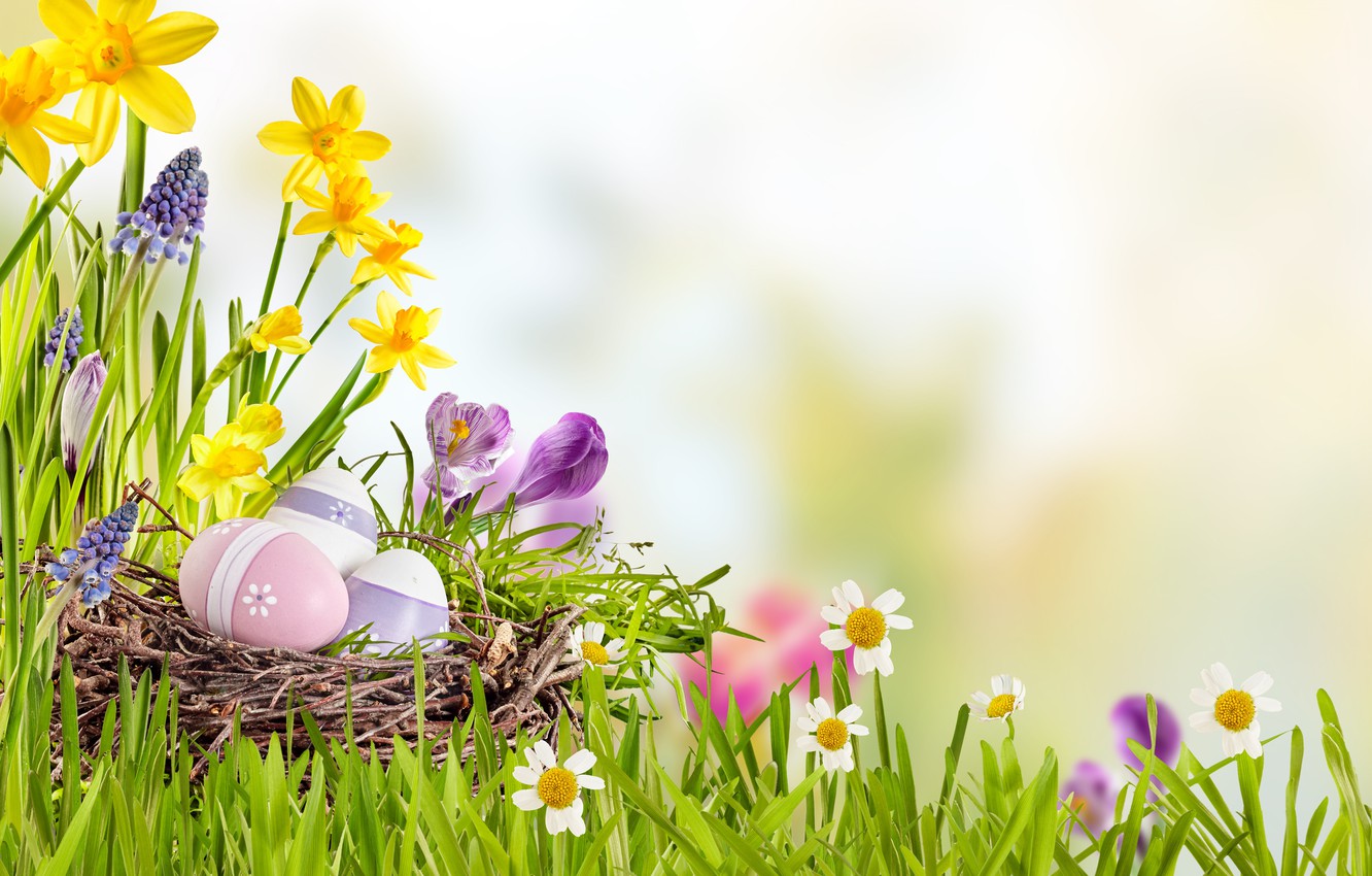 Easter Flowers Wallpapers