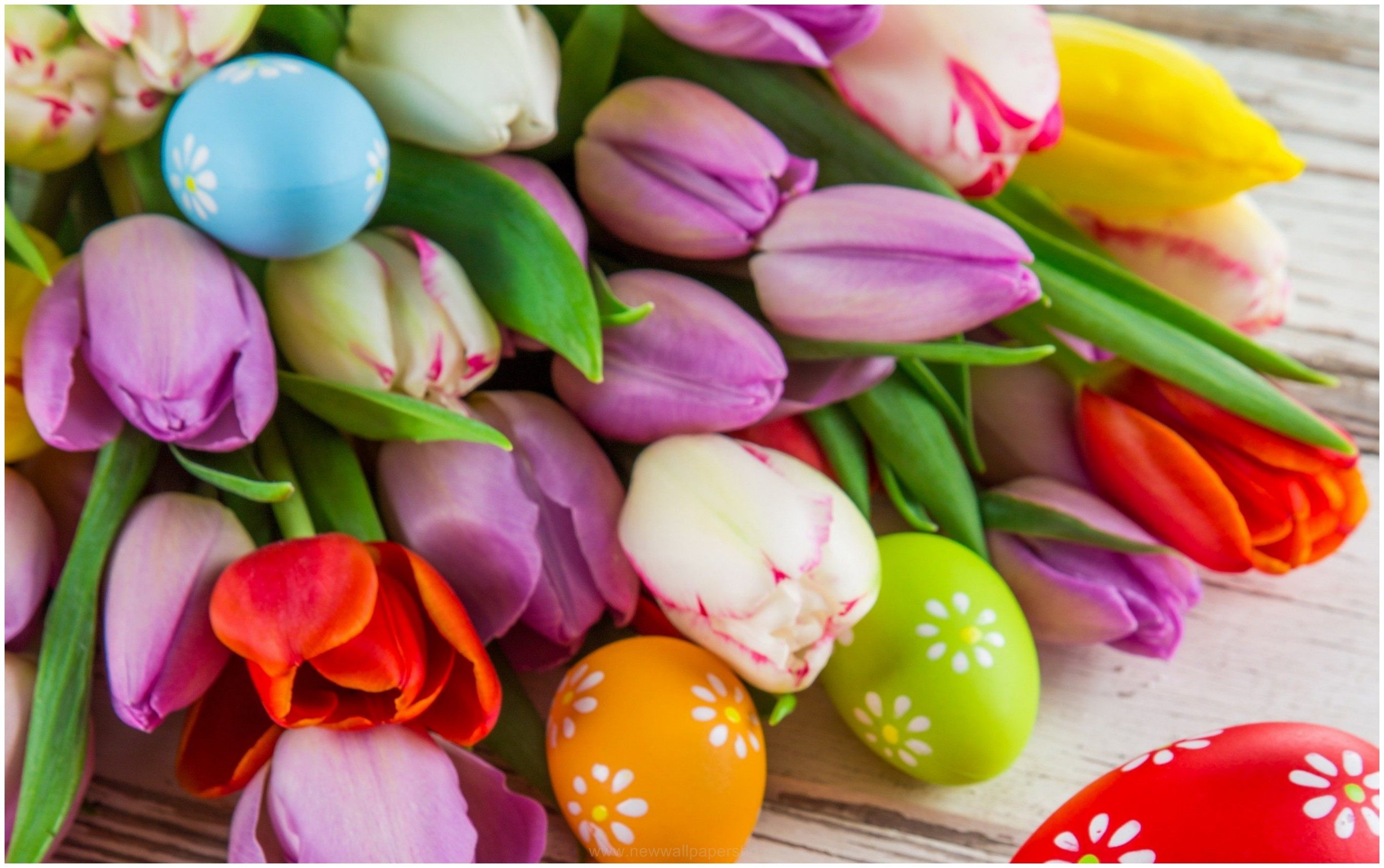 Easter Flowers Wallpapers