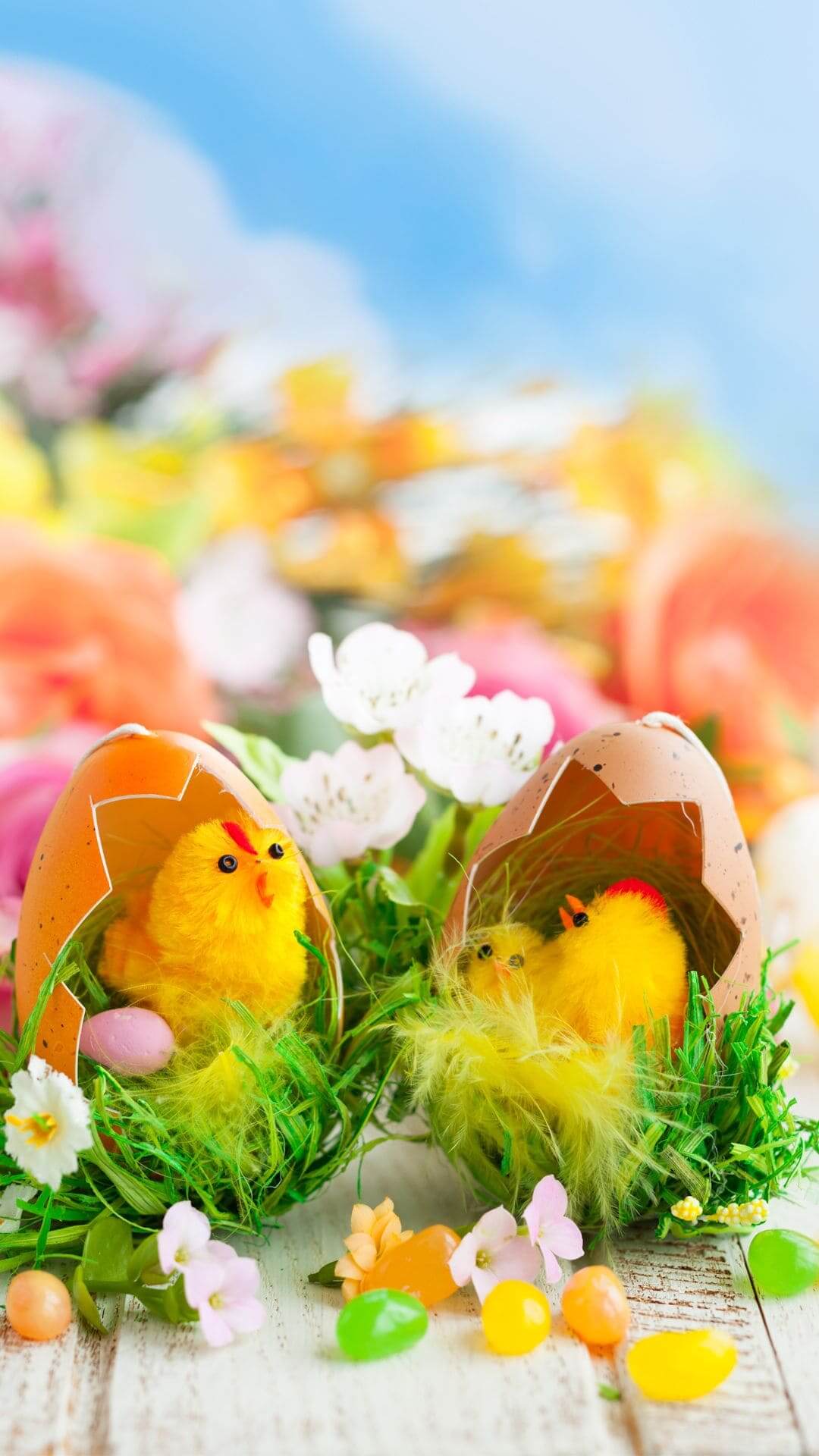 Easter Iphone Wallpapers