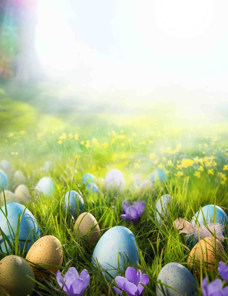 Easter Scenery Wallpapers