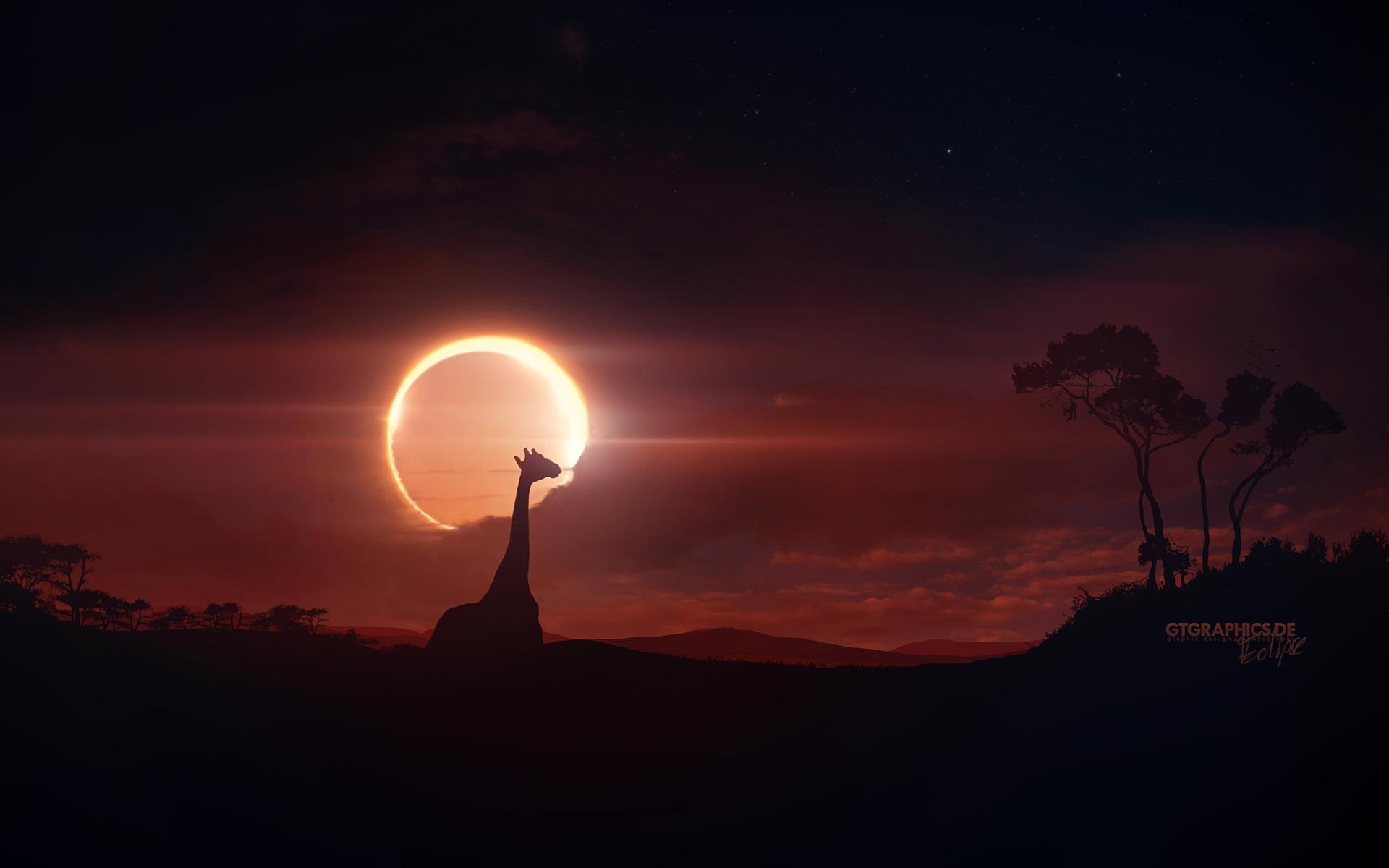 Eclipse At Desert Wallpapers