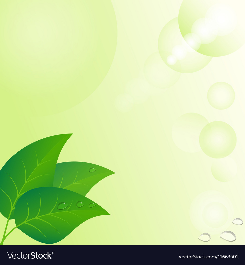 Eco Backgrounds