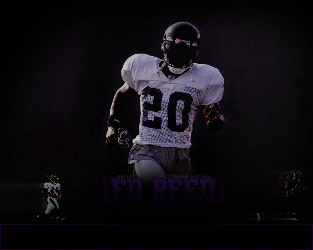 Ed Reed Wallpapers