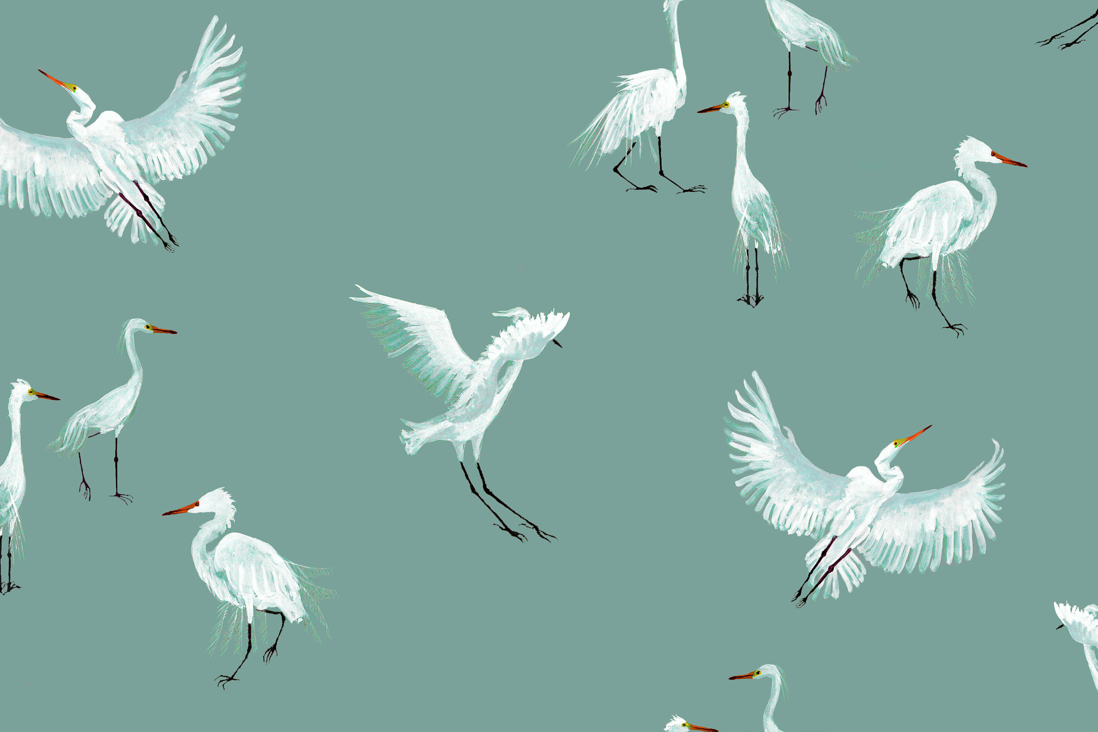 Egret Wallpapers