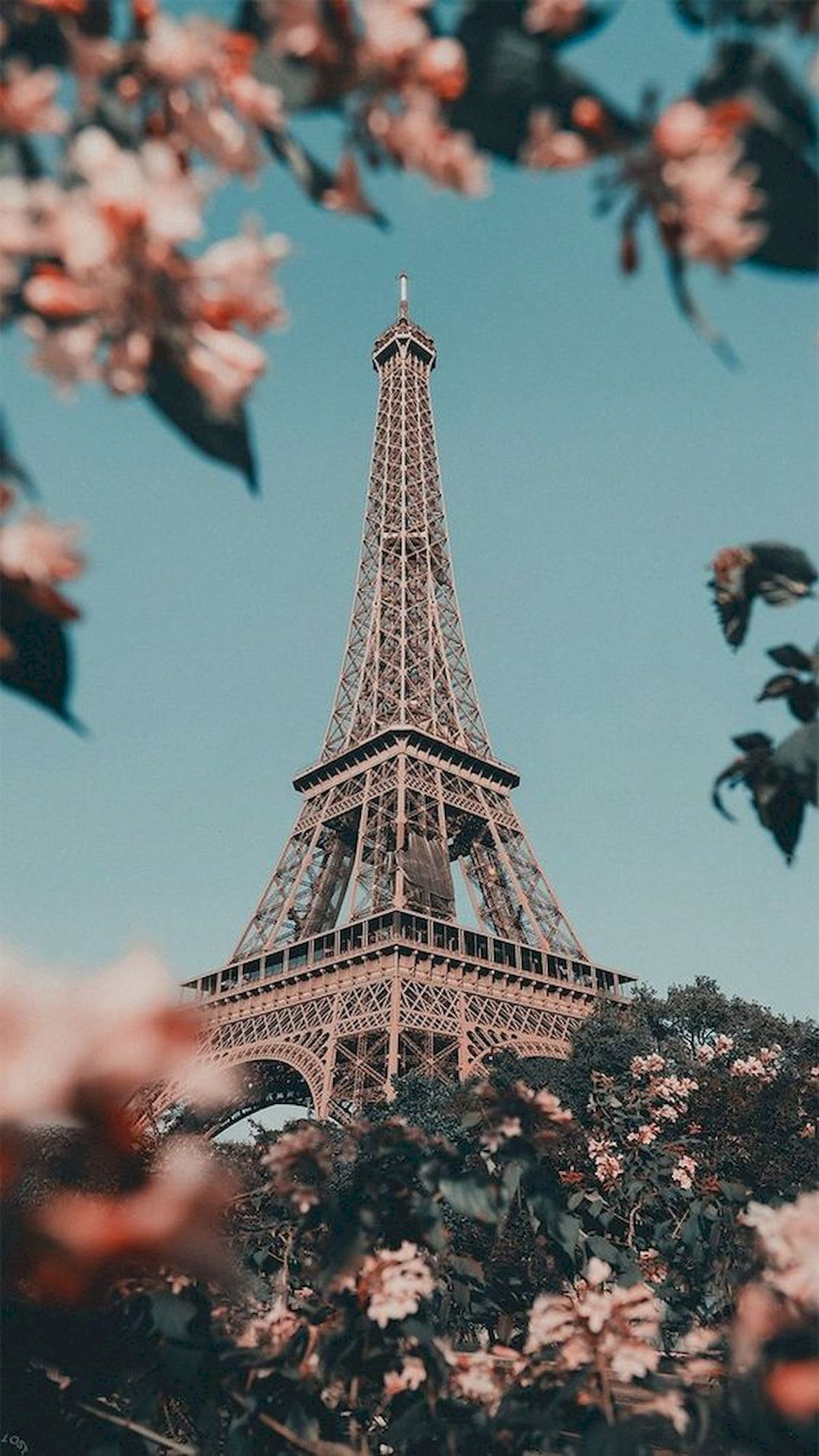 Eiffel Tower Wallpapers