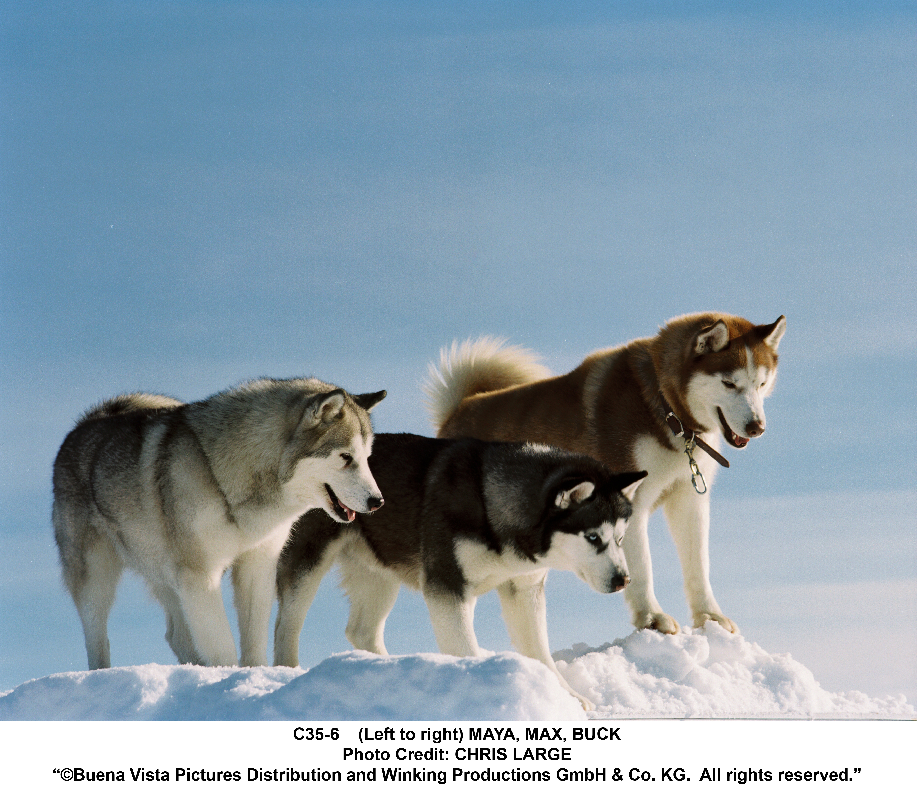 Eight Below Wallpapers