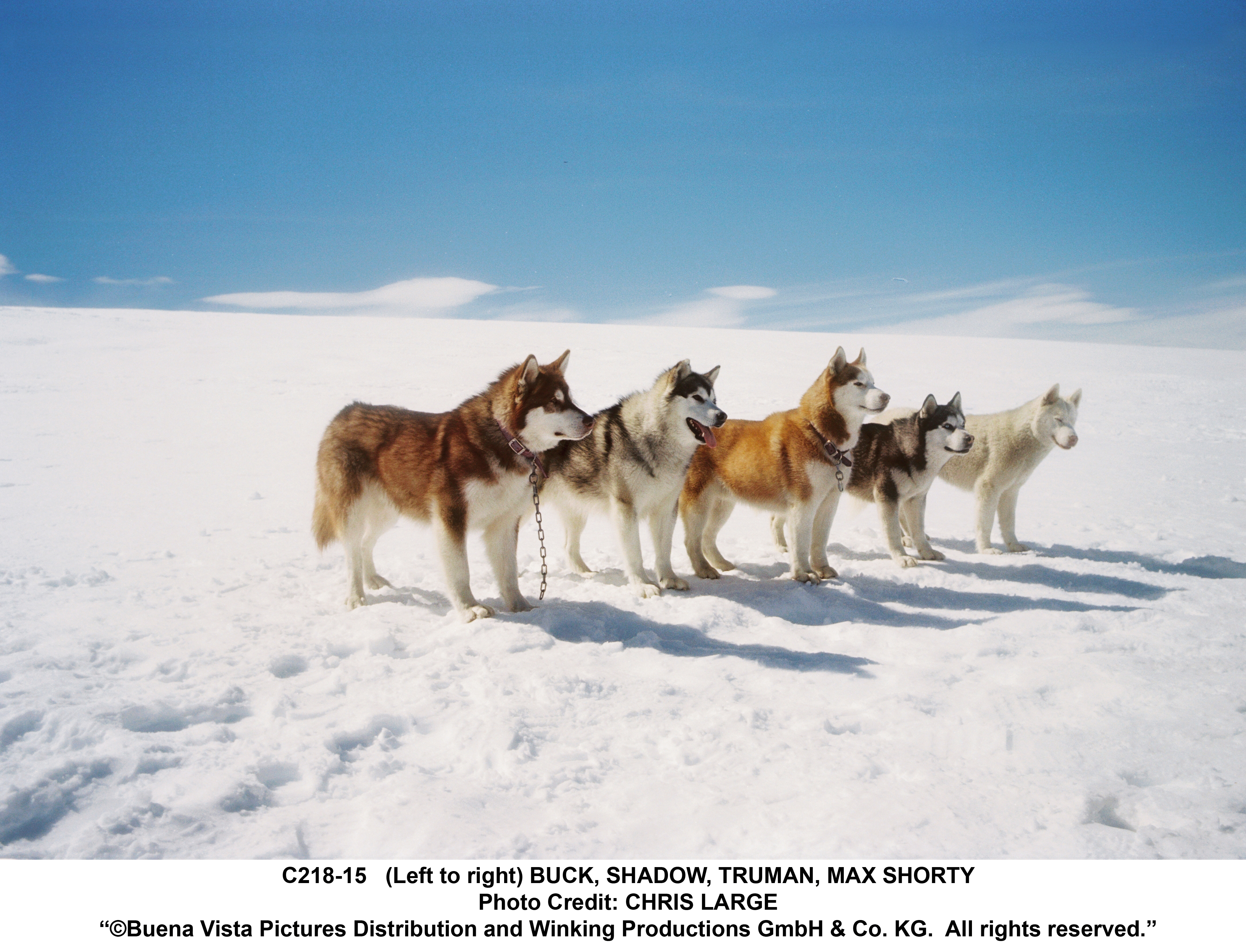 Eight Below Wallpapers