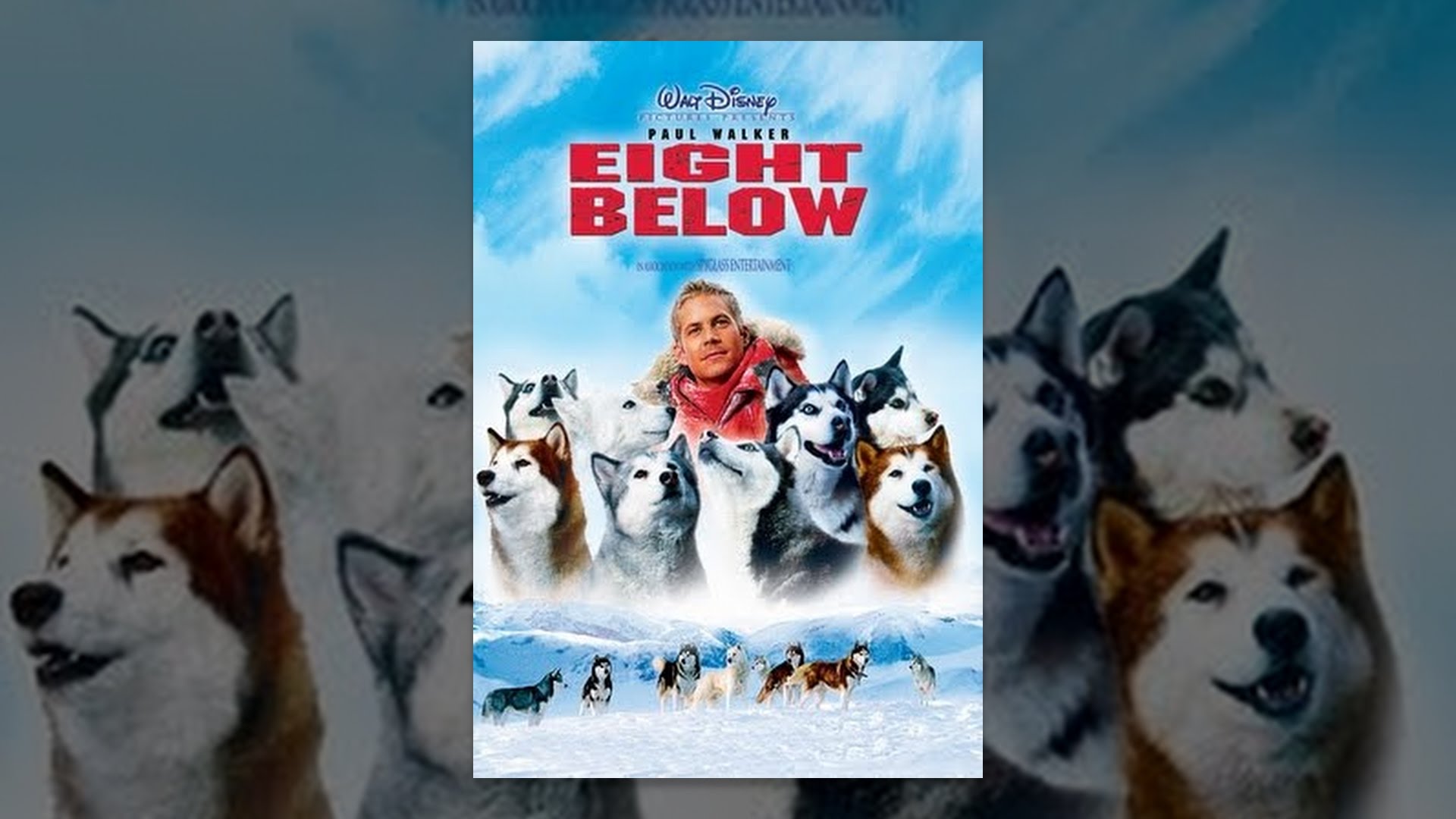 Eight Below Wallpapers