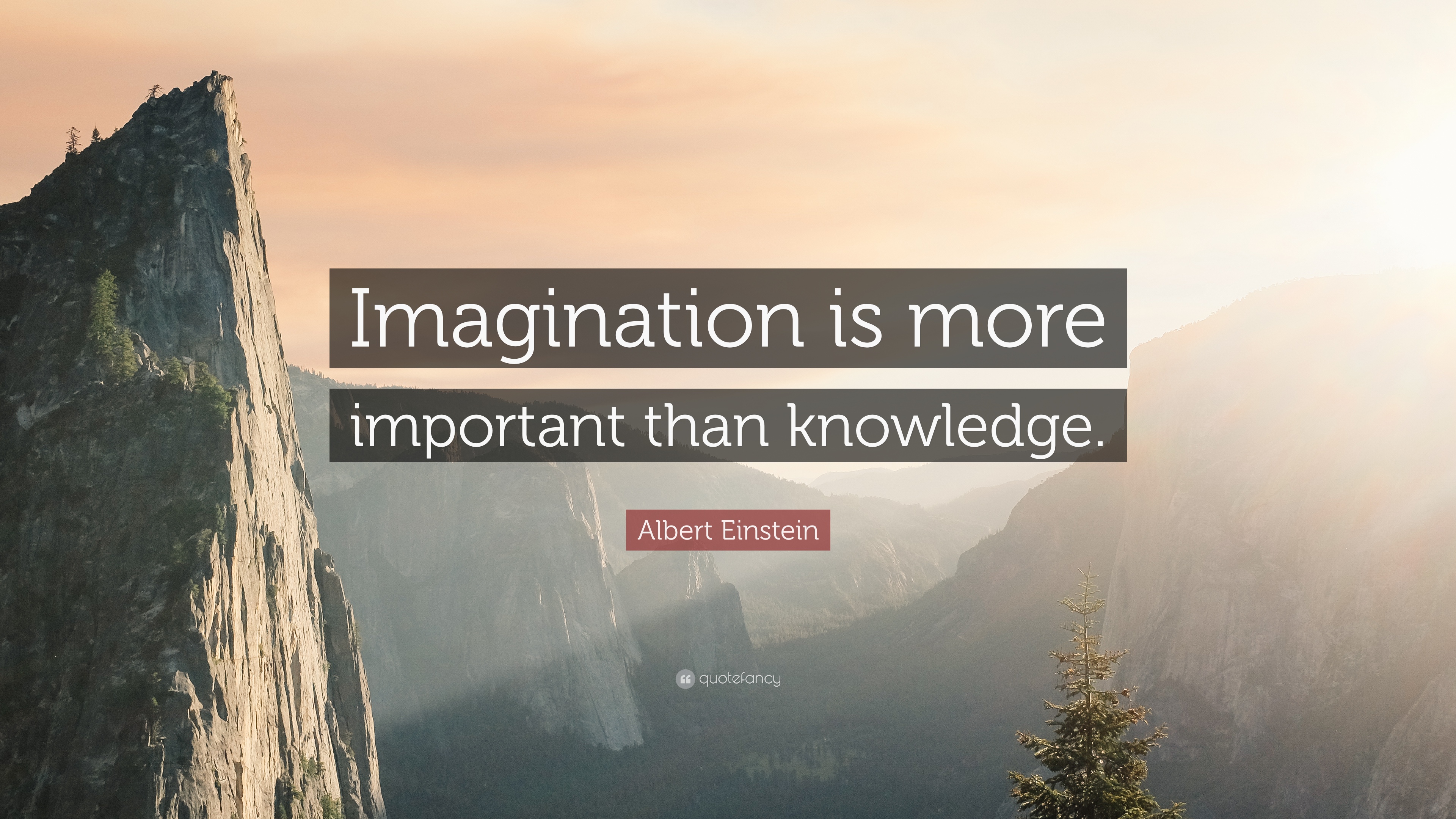 Einstein Imagination Knowledge Wallpapers