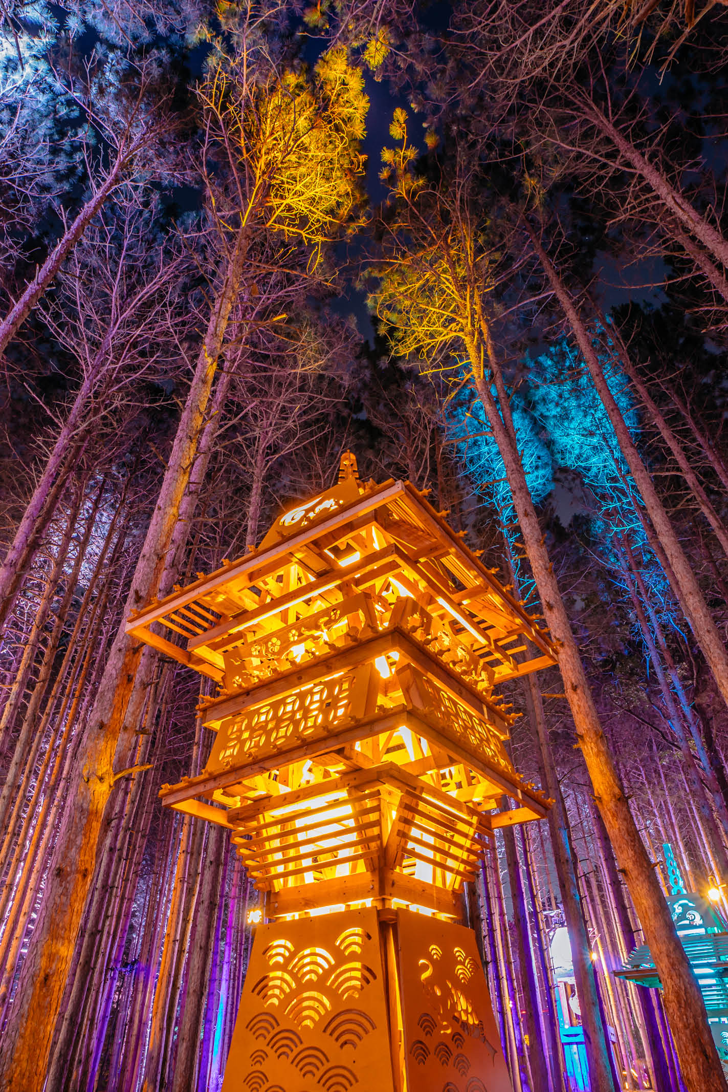 Electric Forest Wallpapers