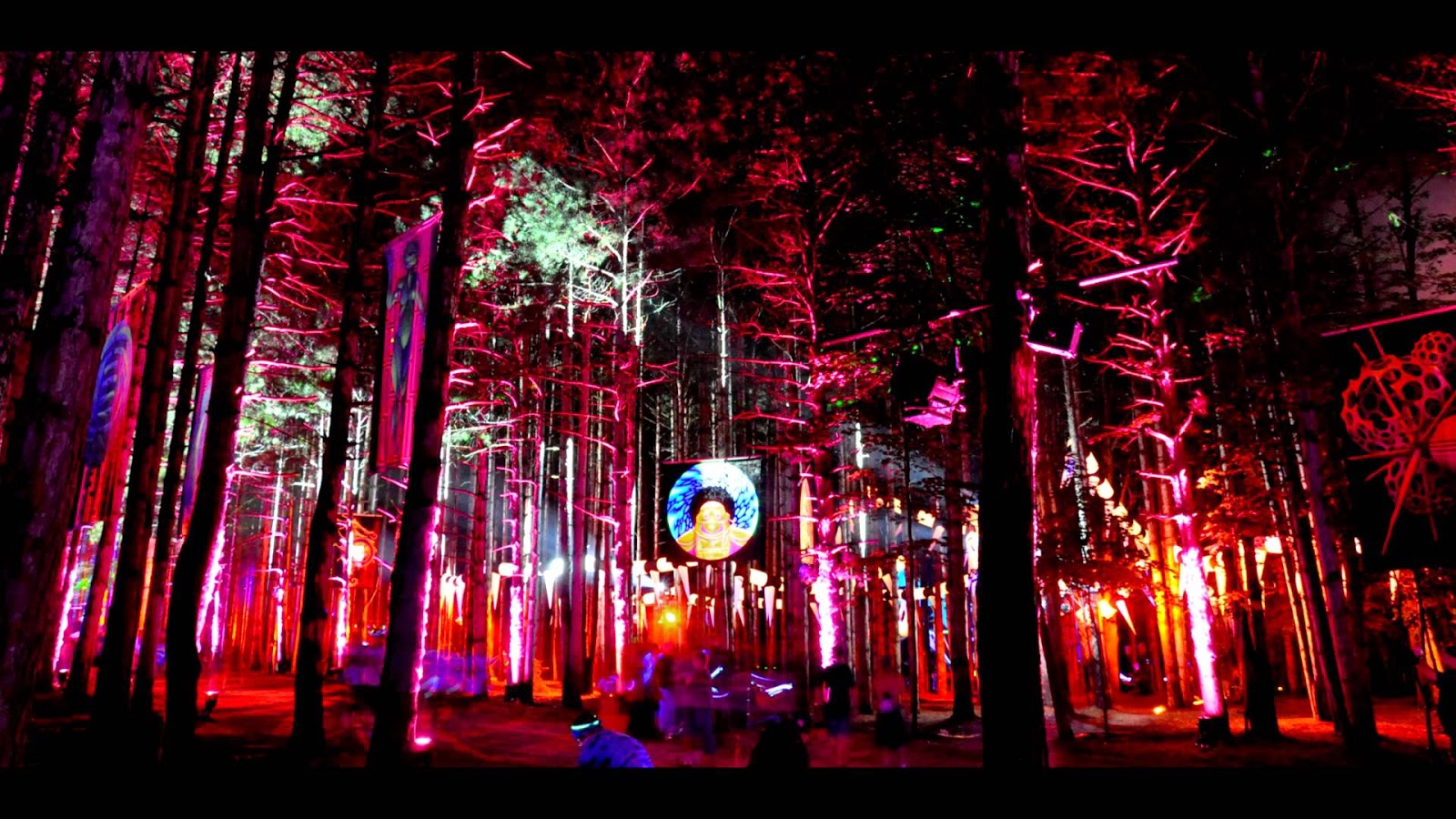 Electric Forest Wallpapers