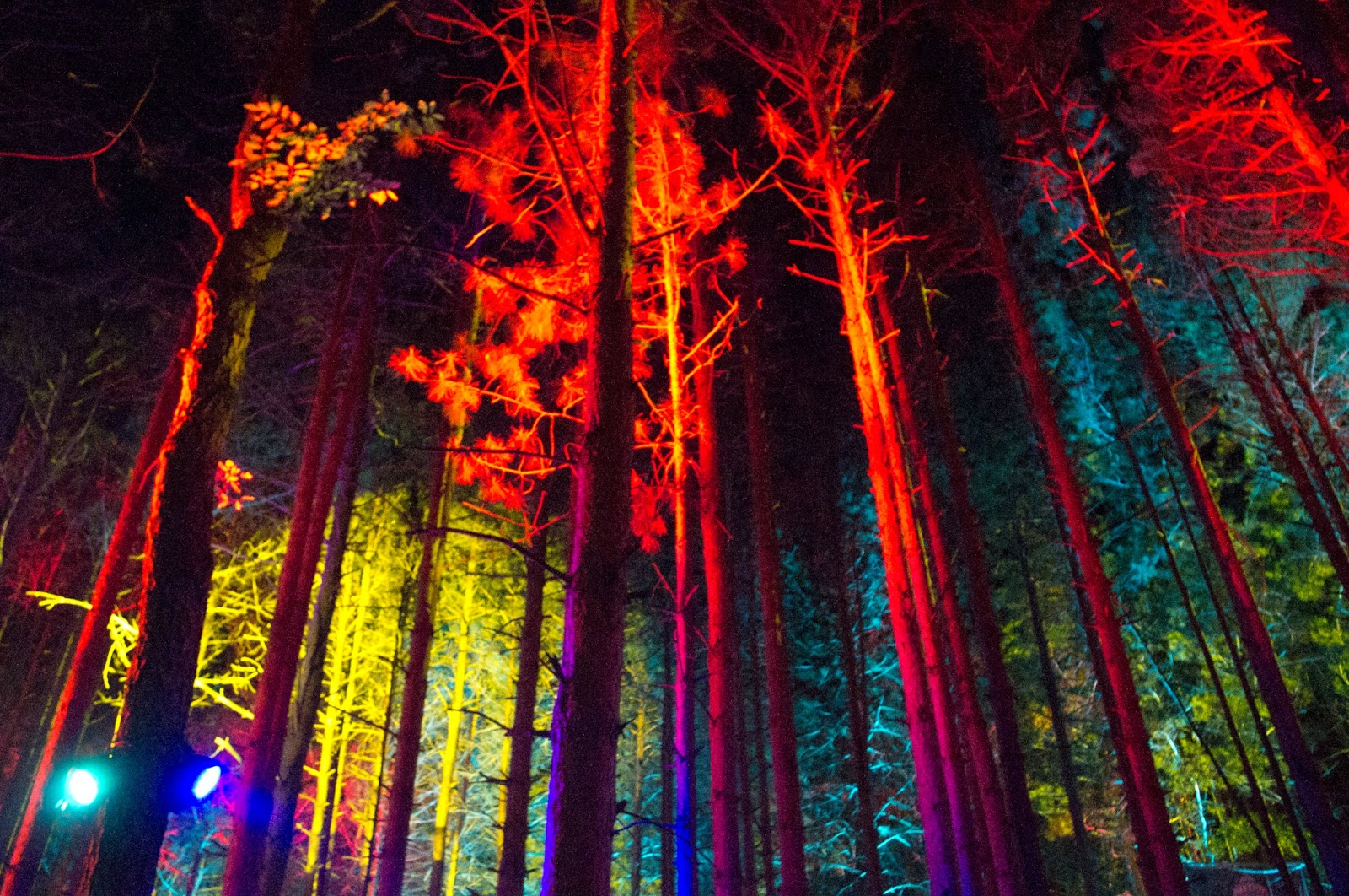 Electric Forest Wallpapers