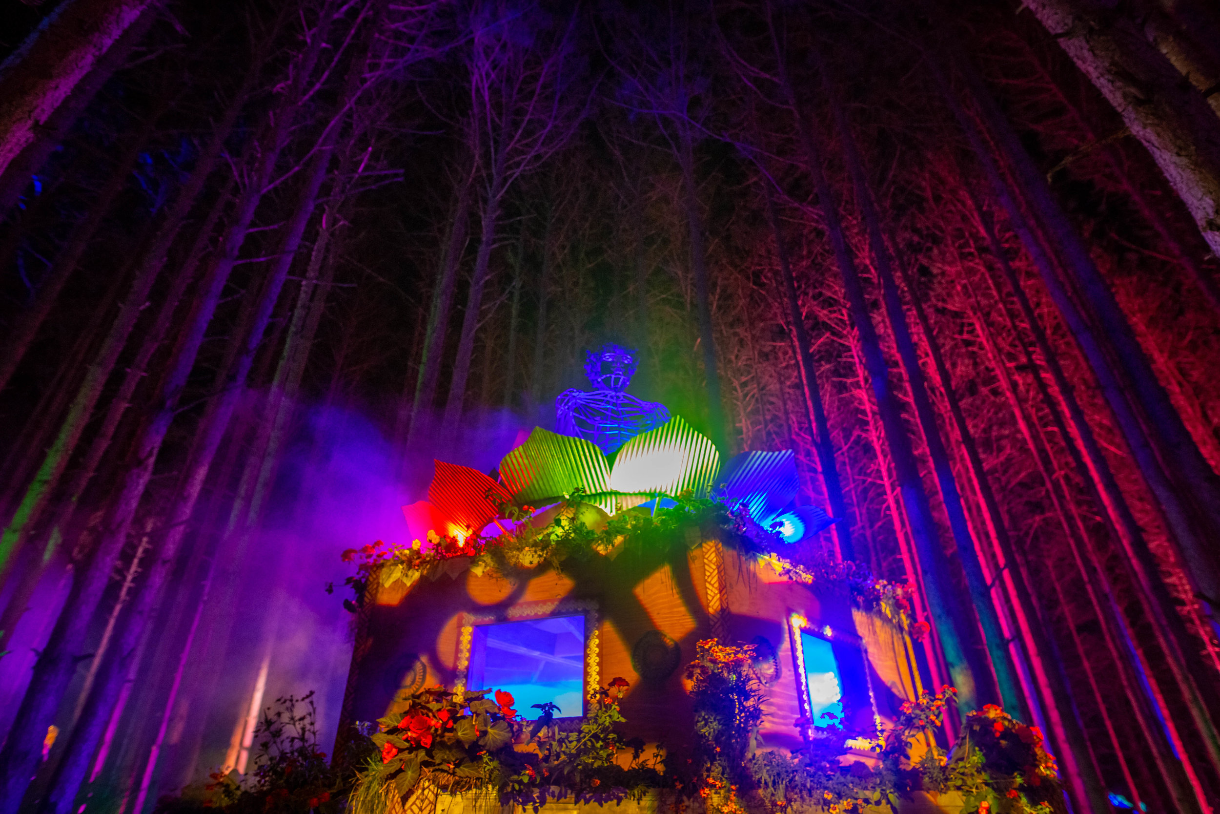 Electric Forest Wallpapers