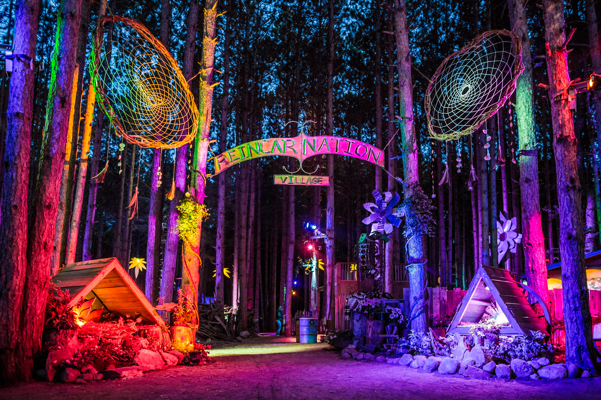 Electric Forest Wallpapers