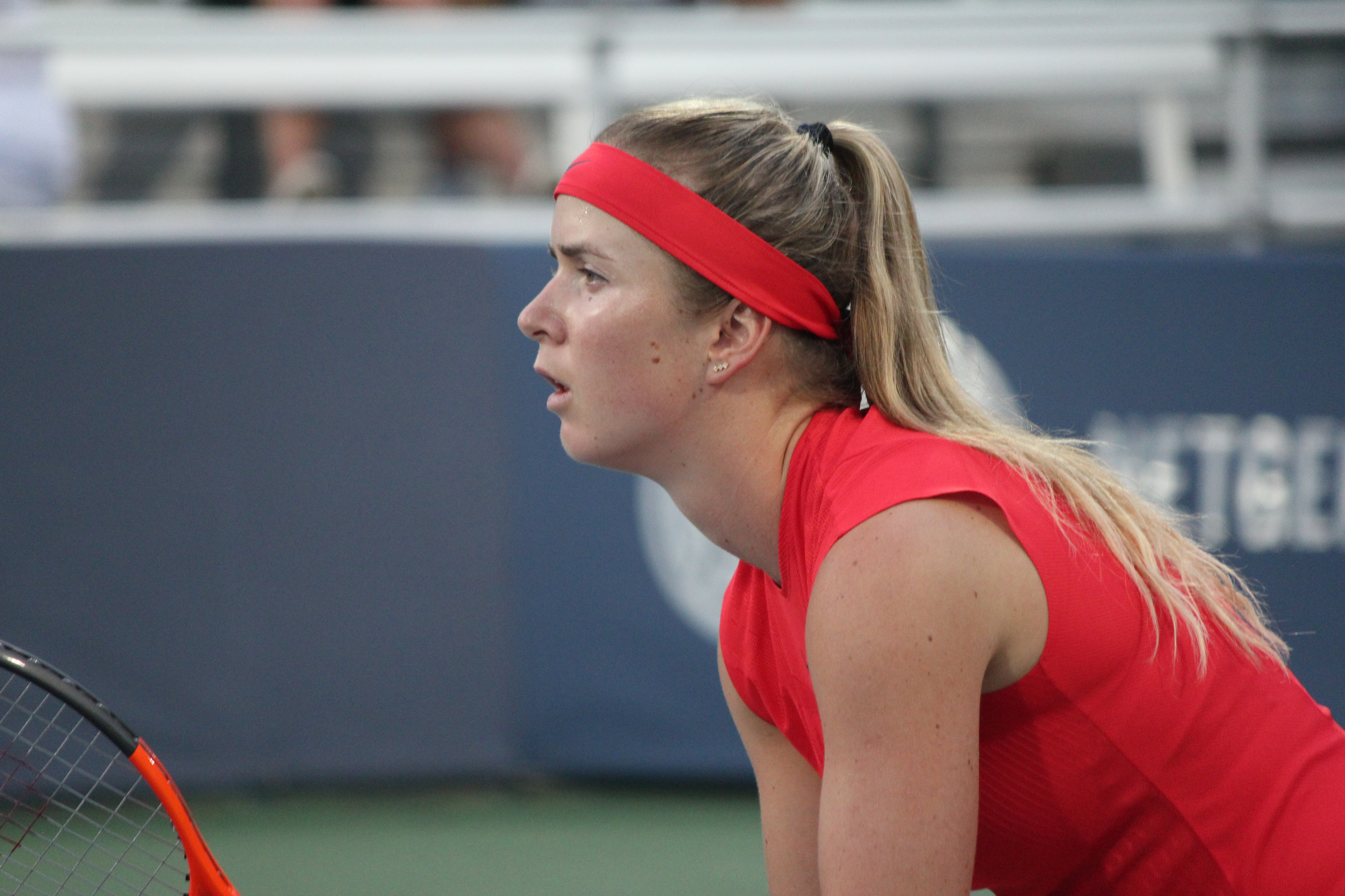 Elina Svitolina Ukrainian Tennis Player Wallpapers