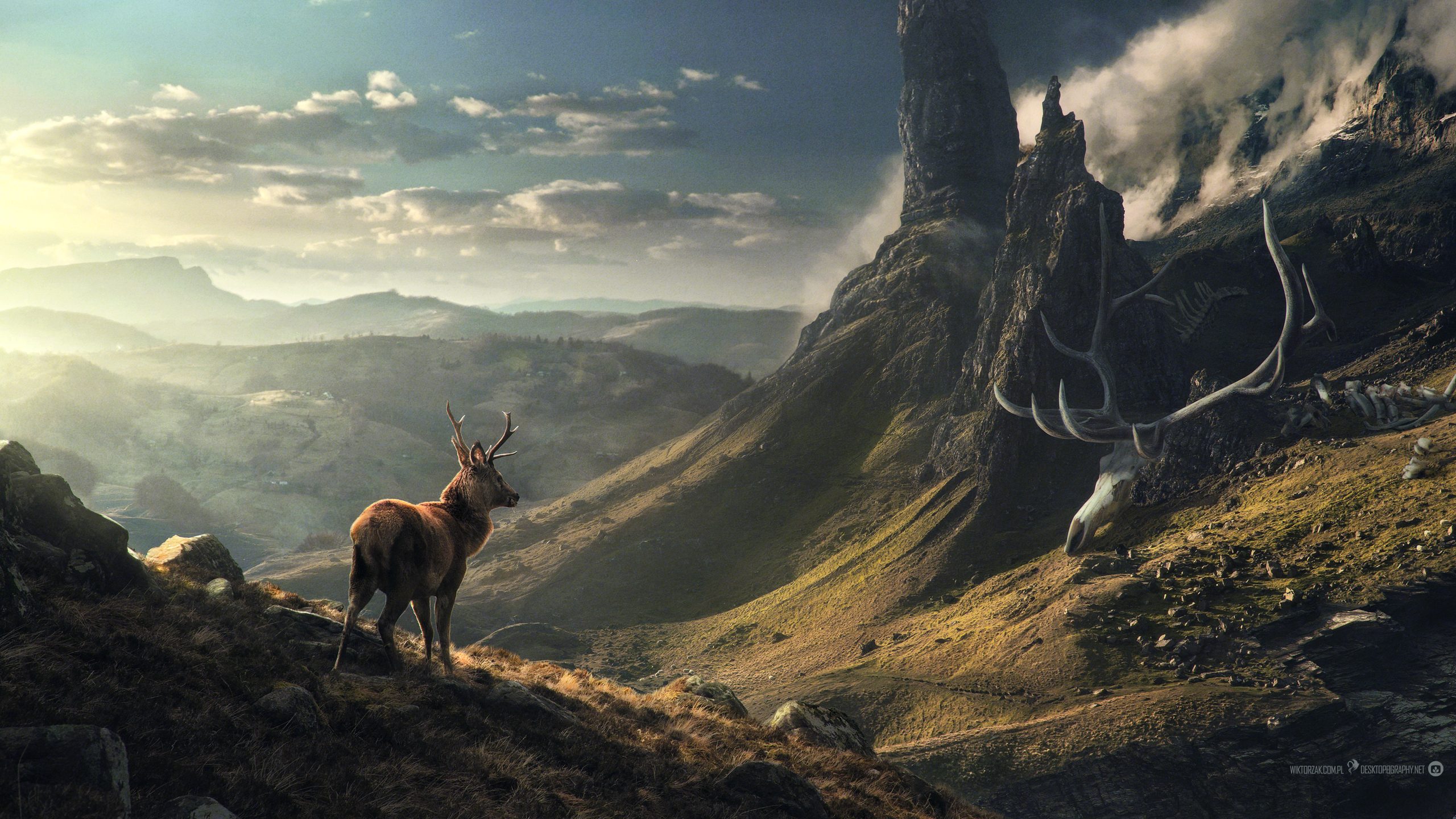 Elk Desktop Wallpapers