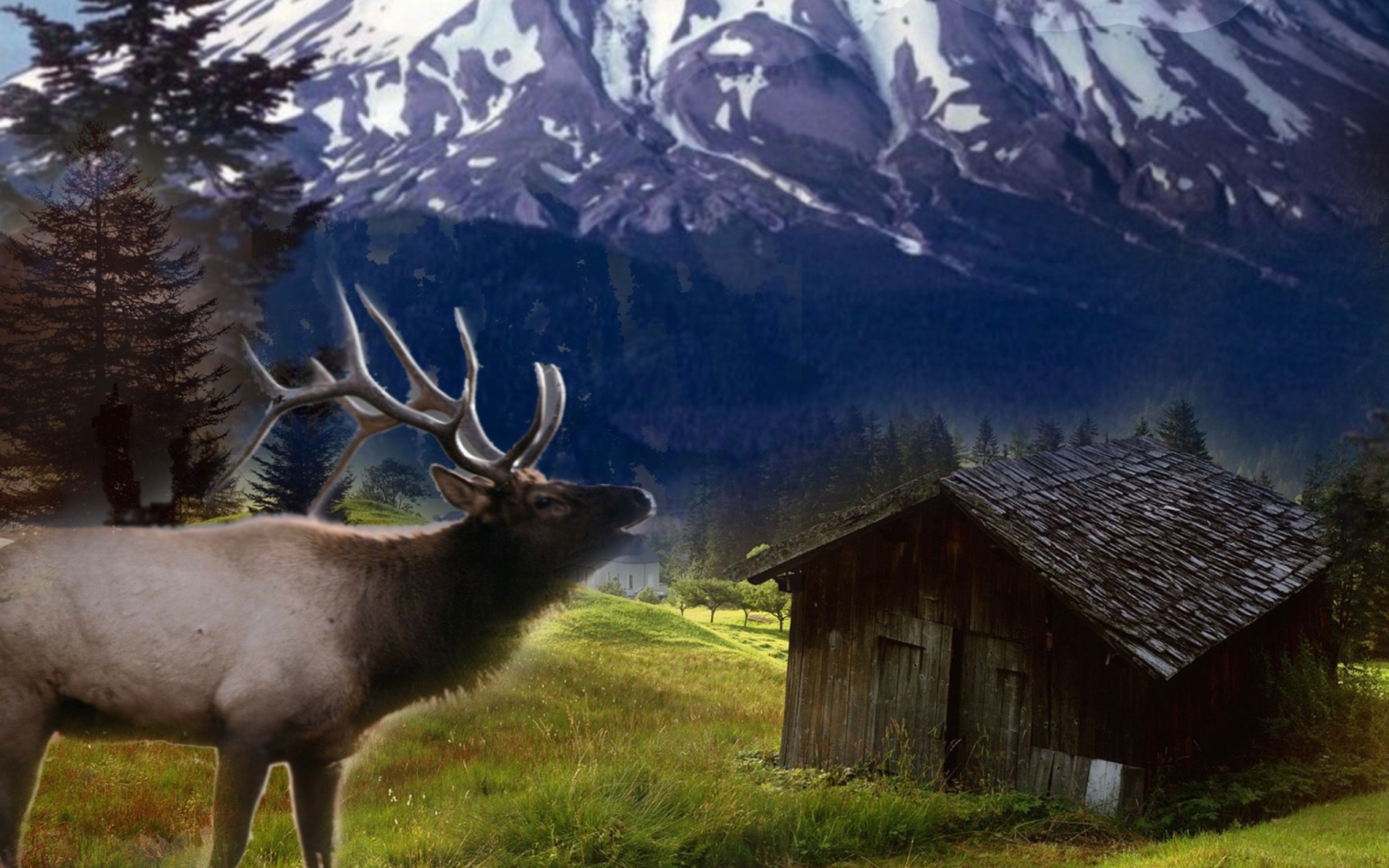 Elk For Android Wallpapers