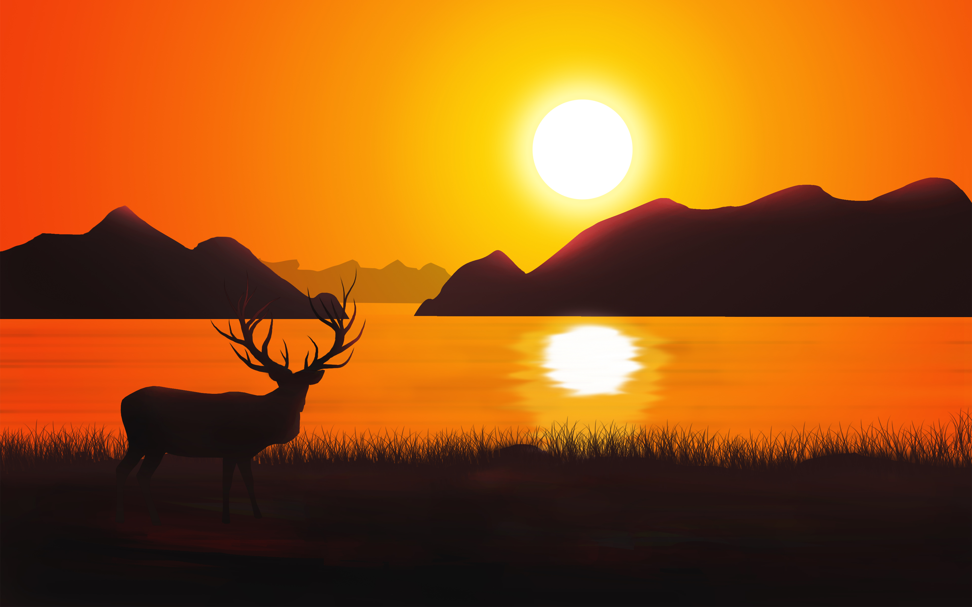 Elk Sunset Wallpapers