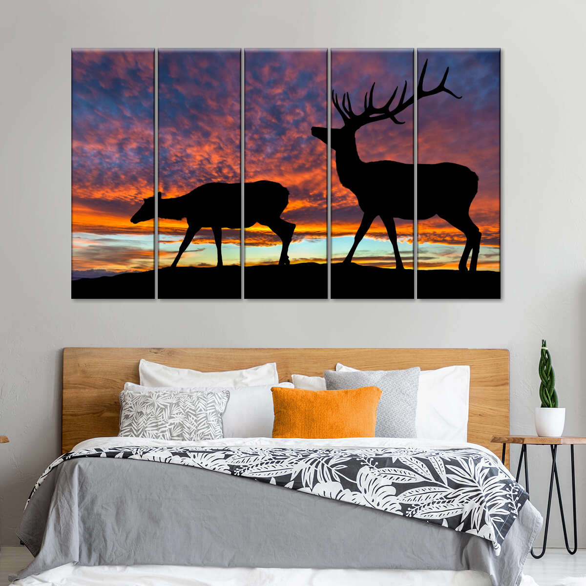 Elk Sunset Wallpapers